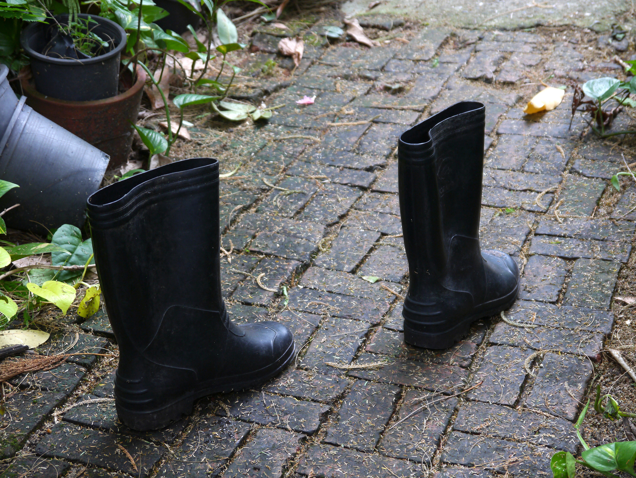 用英文写一段关于园艺雨鞋情人节促销标题以女性爱护自己为主题