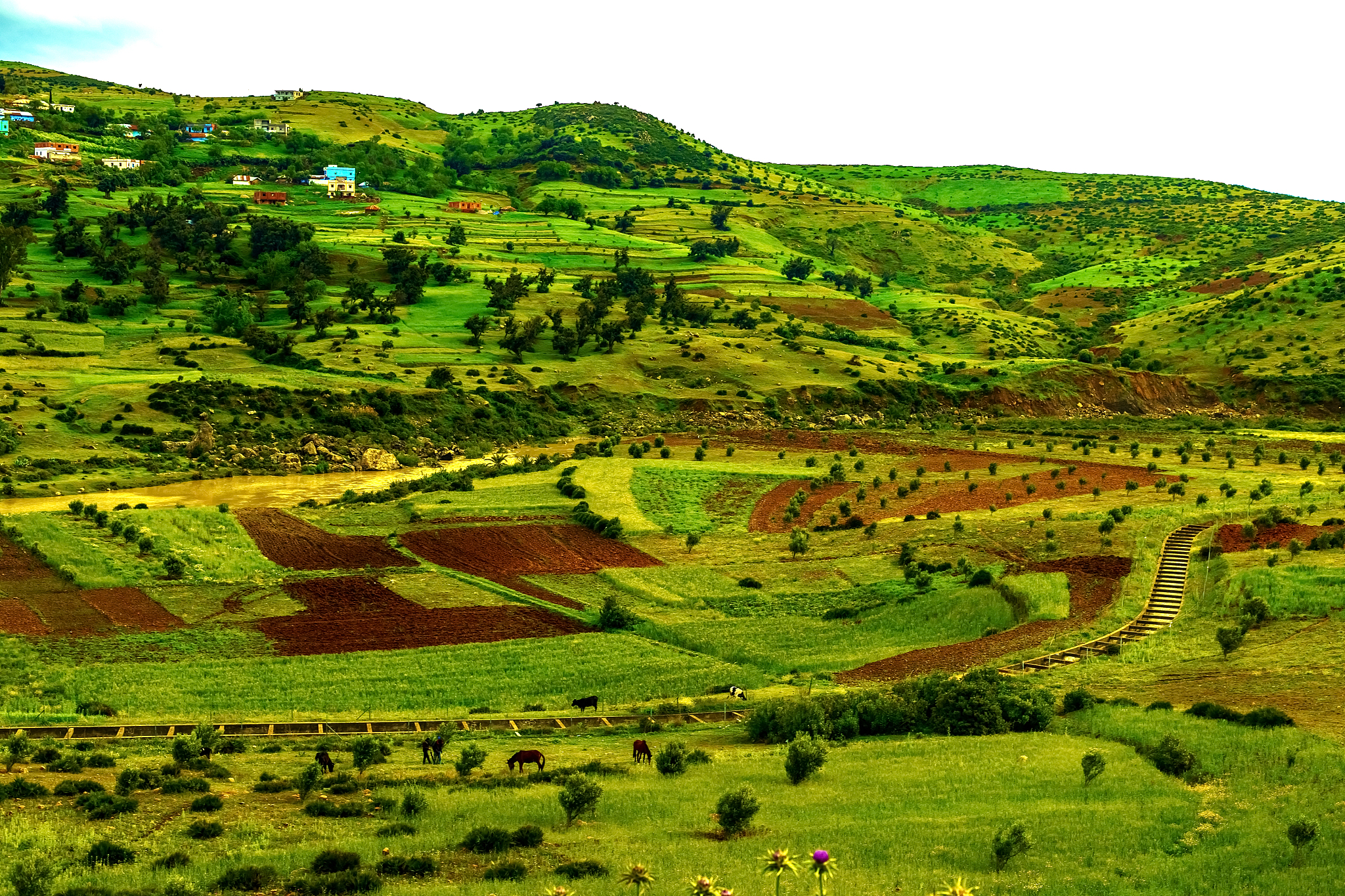 beautiful mountain landscape. view of the mountains and the vall