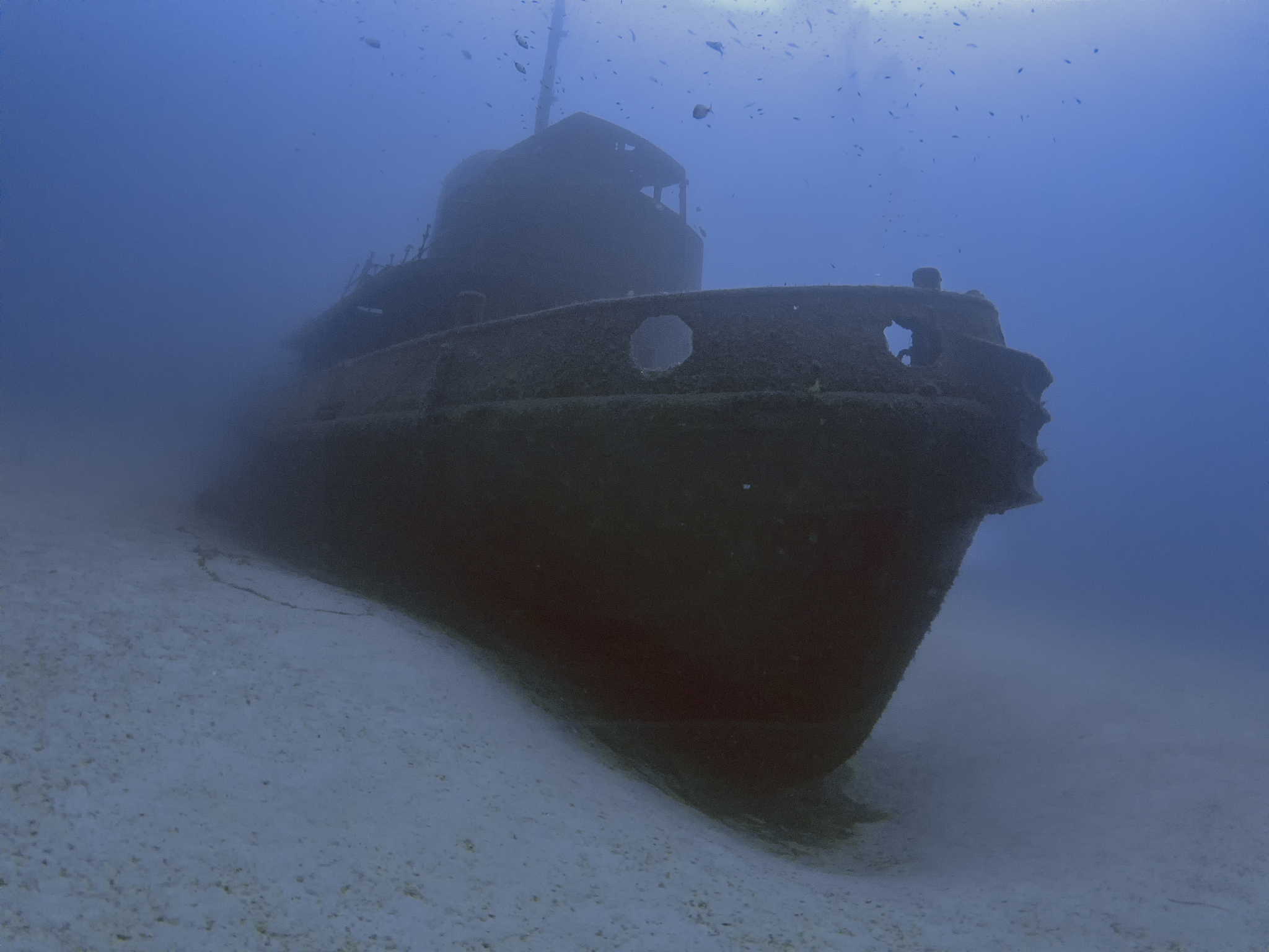 the wreck of the tugboat rozi in malta