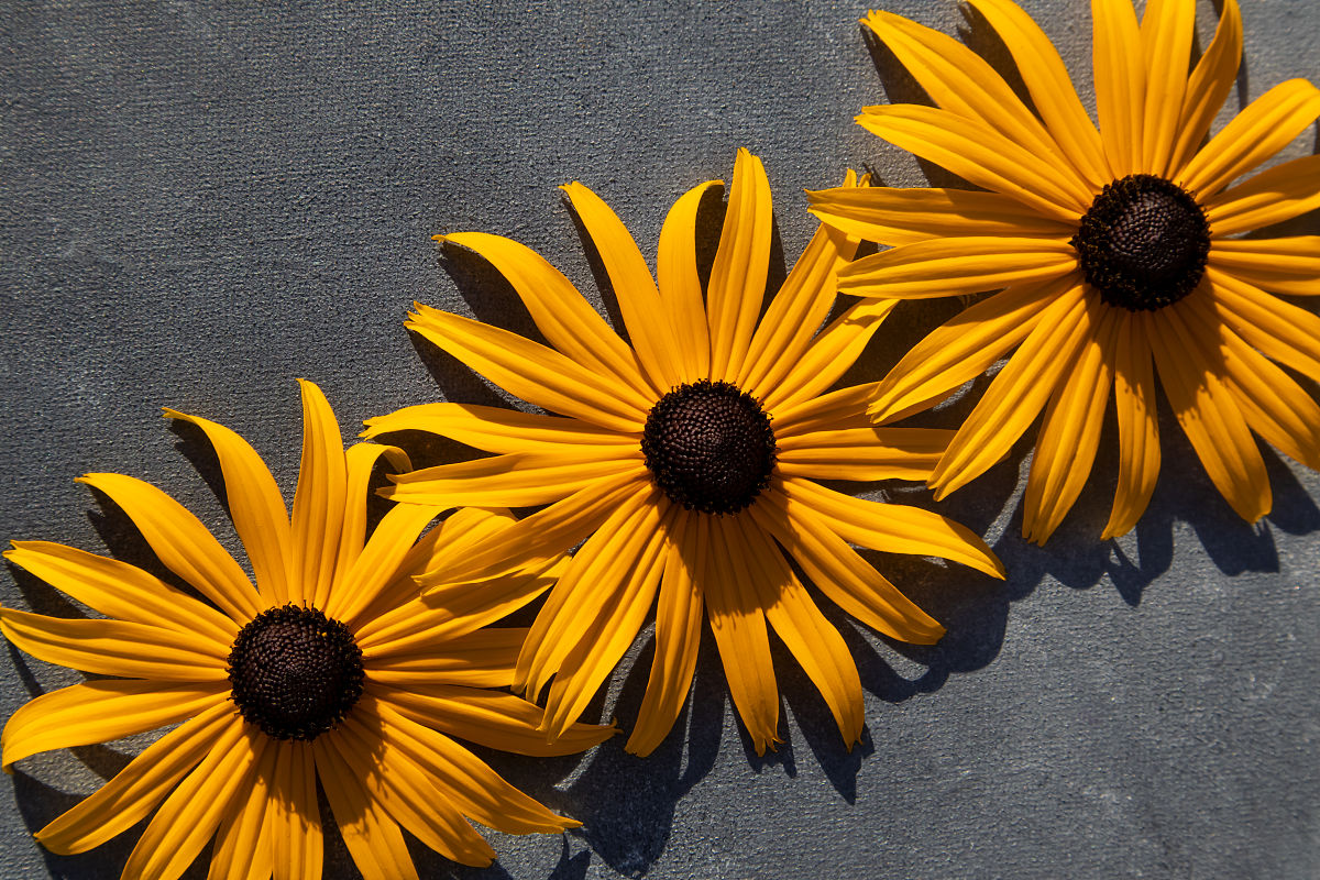 梦幻西游阁楼布置游戏攻略