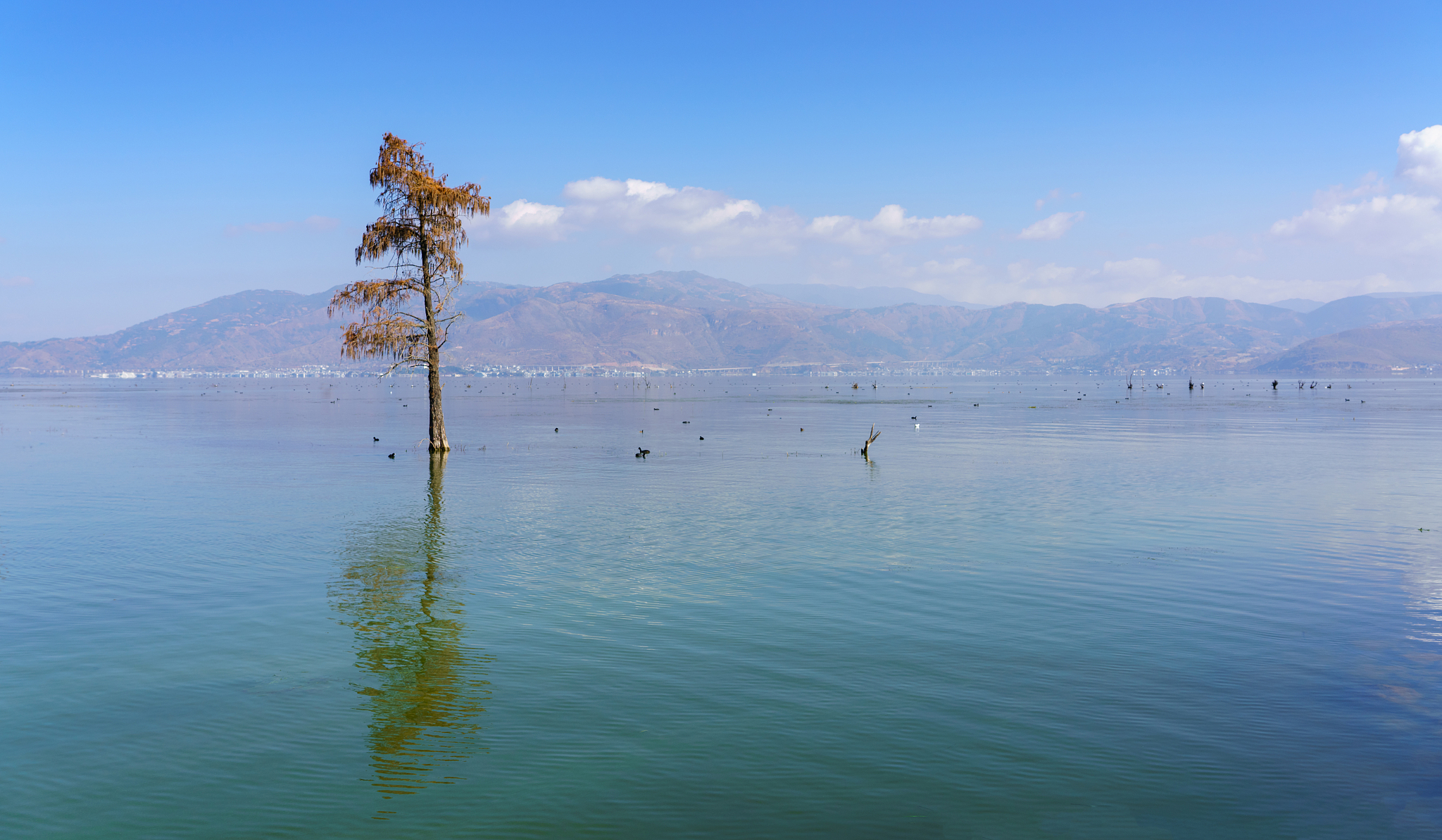 2021年大理卫生学校招生专业有哪些？-大理卫生学校专业介绍