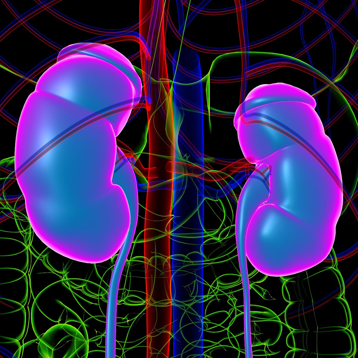 是否可以在3D U-Net网络的基础上增加一些分类的结构使其能够同时分割肾脏、肝脏和脾脏的同时对每一个器官有无创伤的状态分别做二分类任务请制定一个详细的方案并将网络模型的代码构建出来