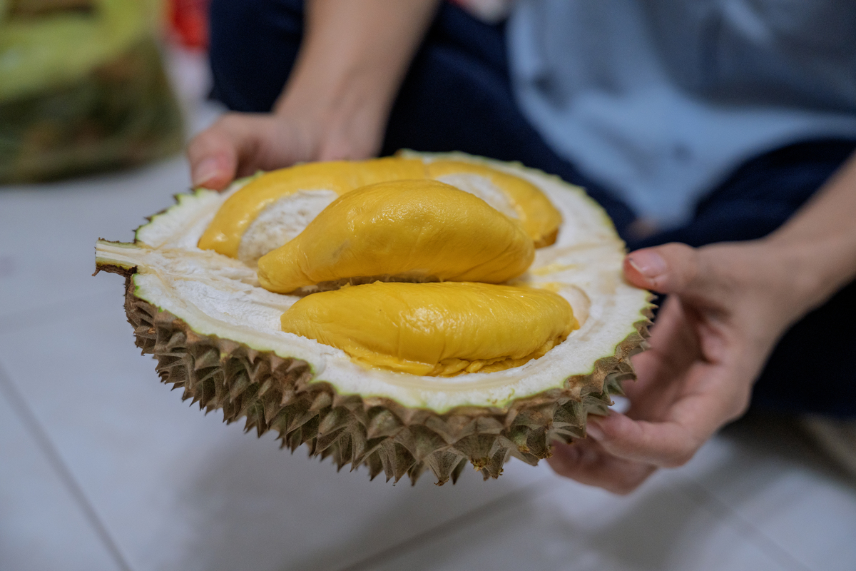 未熟榴莲怎么剥？4个妙招轻松搞定！