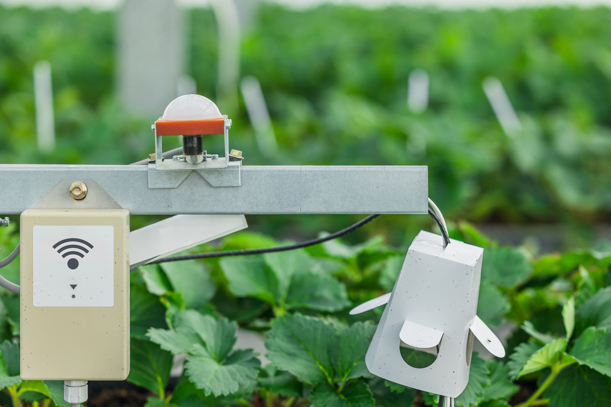 以农业物联网为载体的4G云智能大棚种植喷灌和土壤检测及自动卷帘融为一体的大棚控制器为题材生成一篇100字的广告文