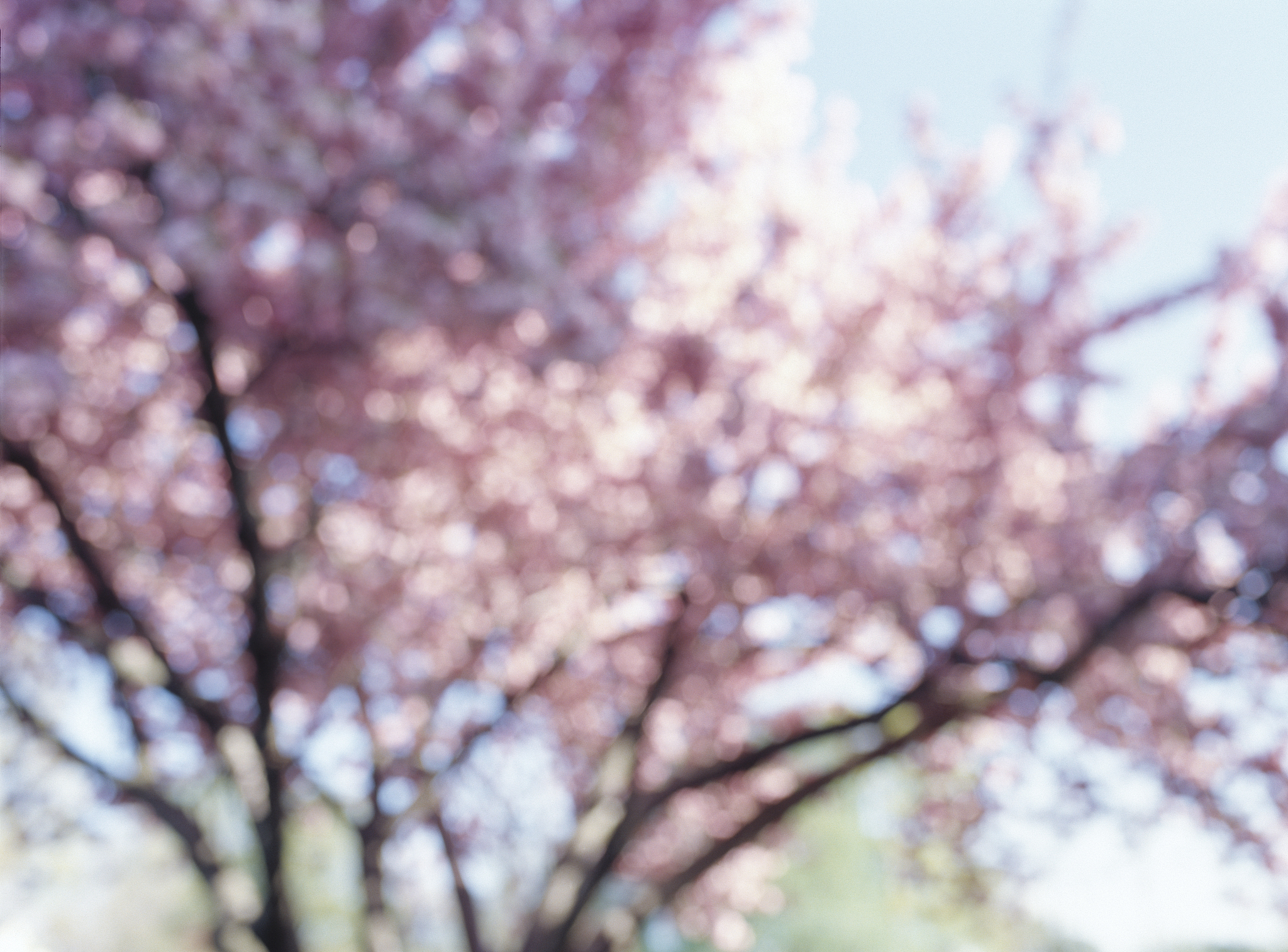 高校教学质量评价：层次分析法与模糊综合评价法的结合