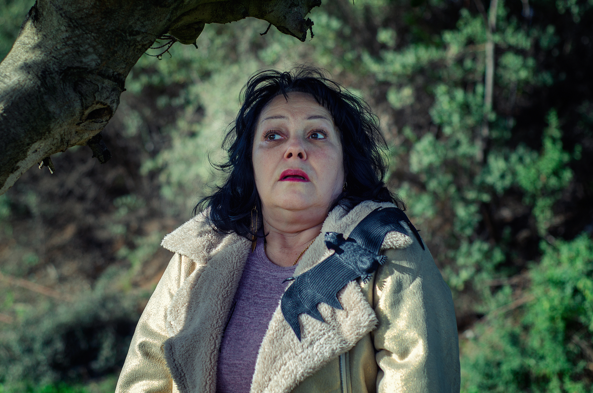 不要回头电影赏析