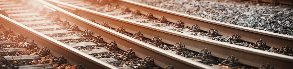 中老铁路开通运营后热带水果产业发展的影响及对策建议