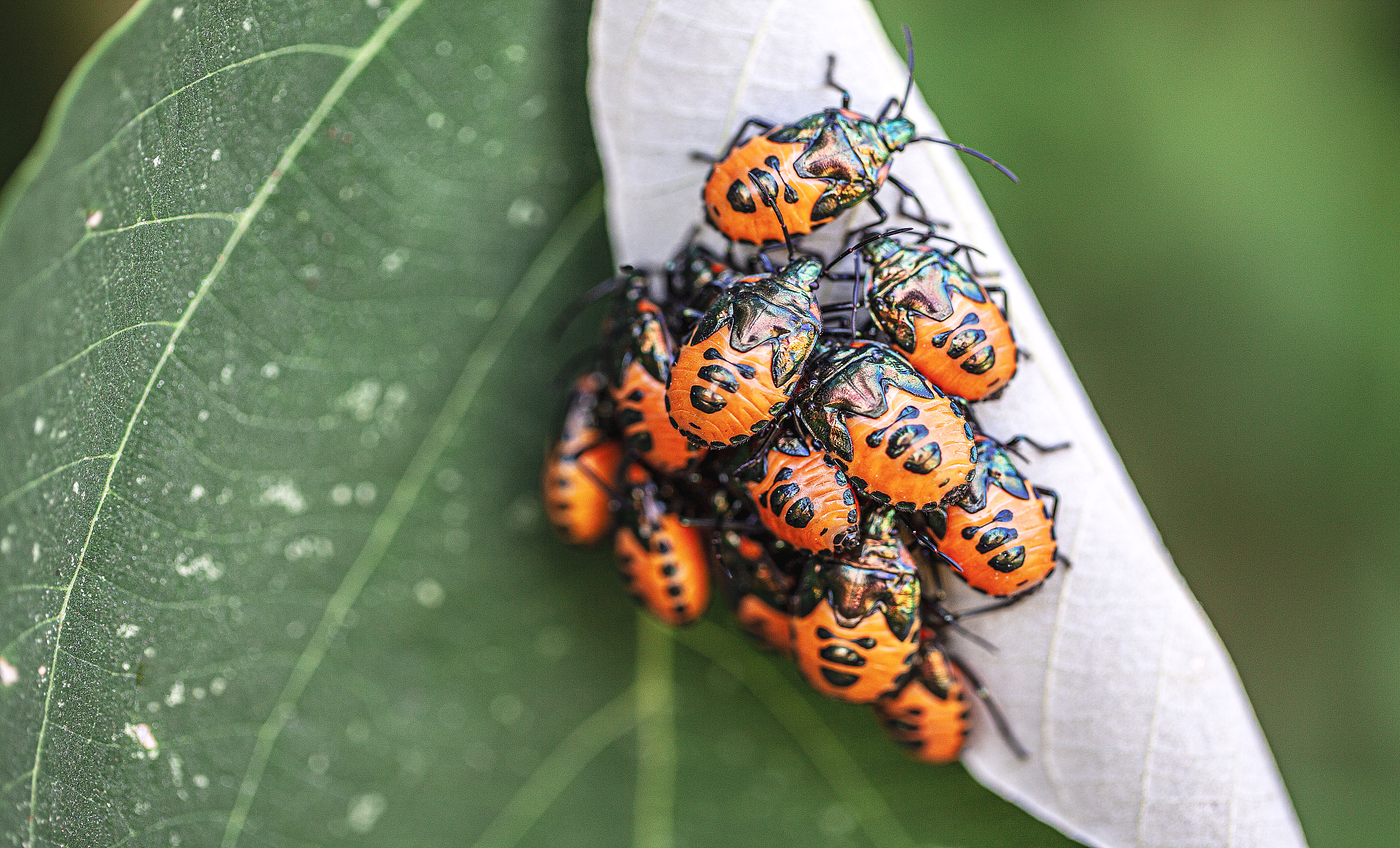 跨境拼多多骑行鞋标题：征服边界，骑行新高度
