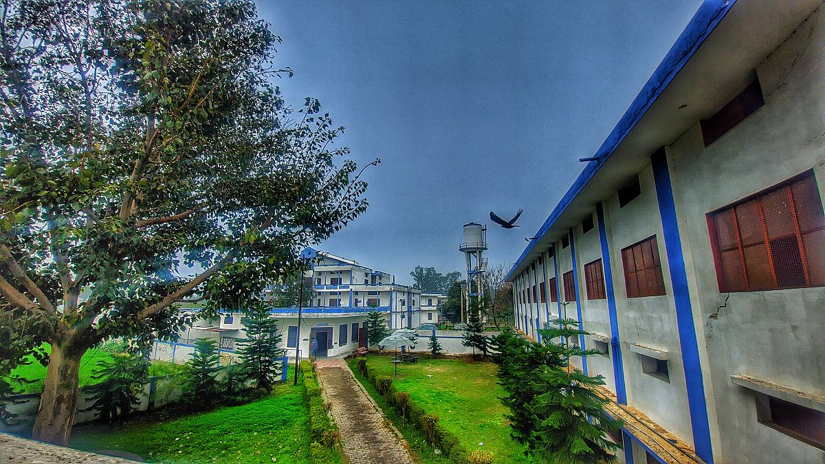 江西余干县白马桥乡李家村小组村委：推动乡村发展，改善村民生活