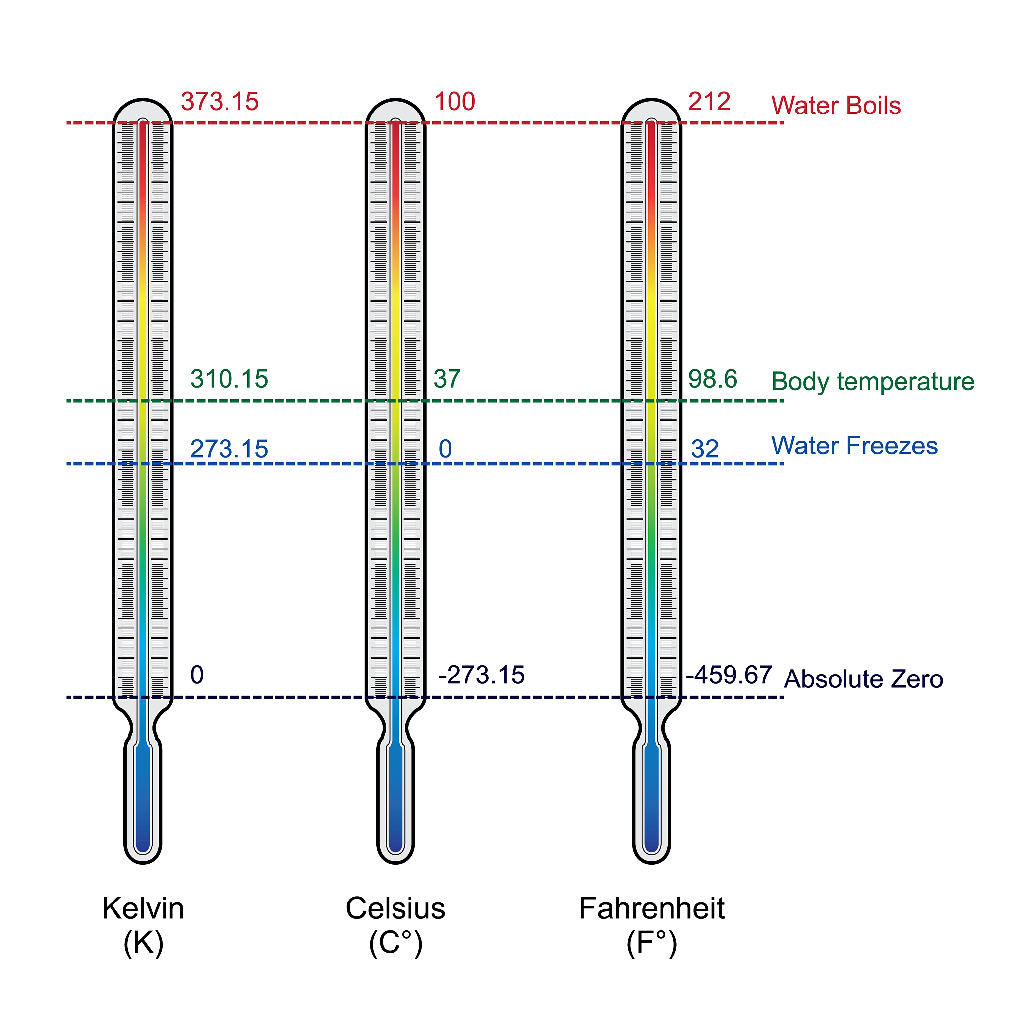 HPLC/MS-MS 测试条件 - C18 色谱柱，电喷雾电离