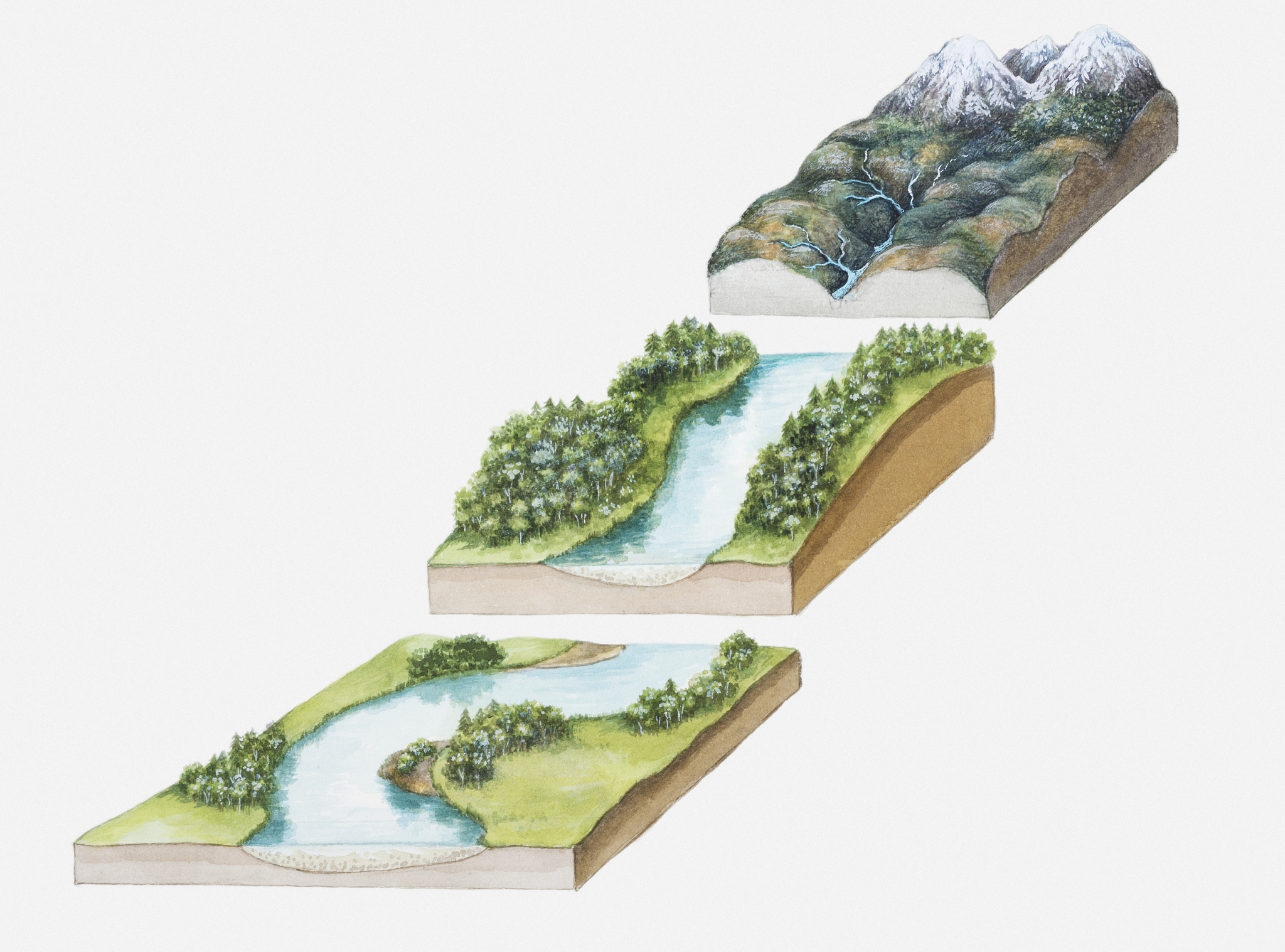 水平流人工湿地剖面图详解：结构组成与设计要点