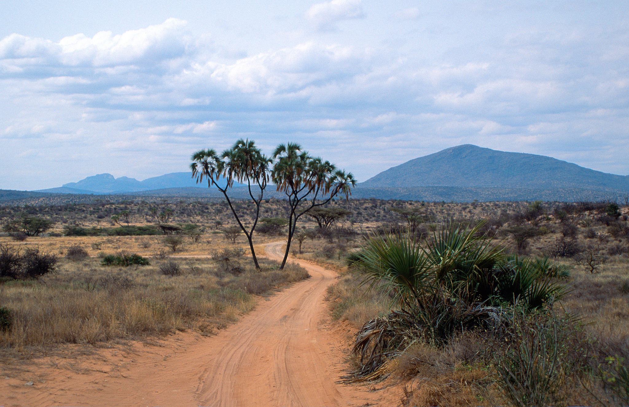 desert road