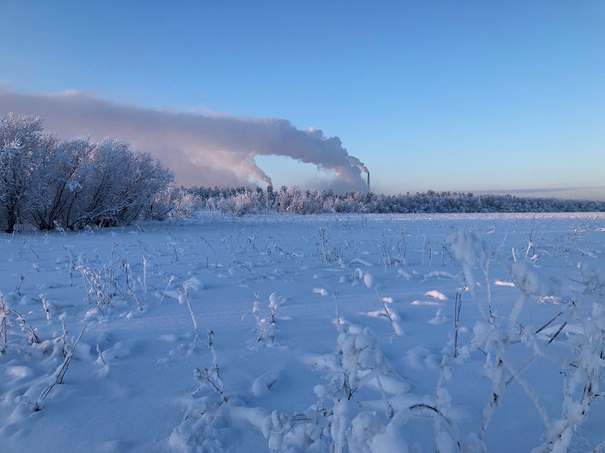 中国最冷的地方有多冷？-52.3℃！