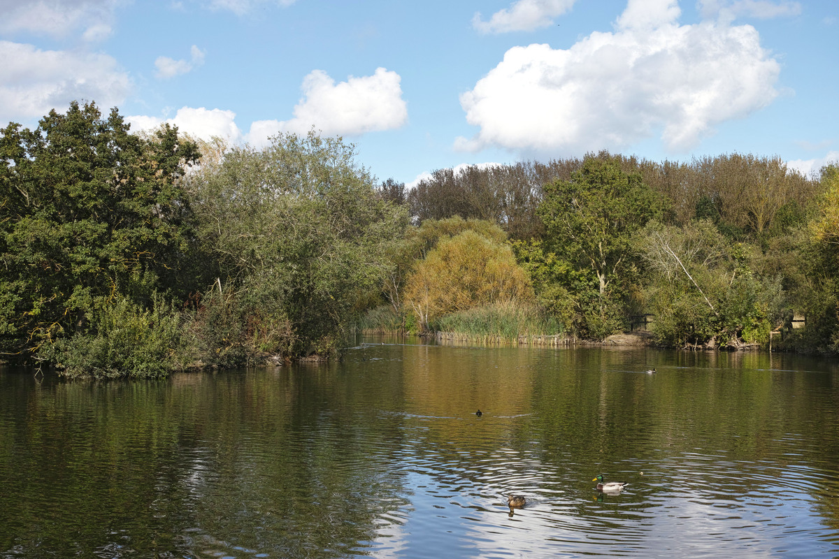 公园的早晨：一片清新与活力