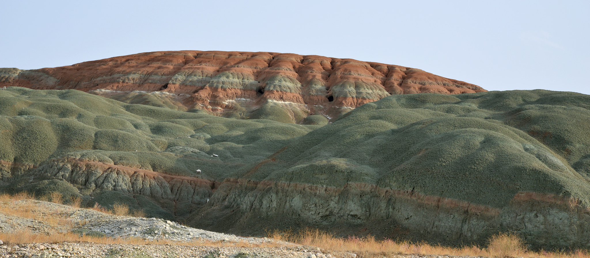 nature landscape