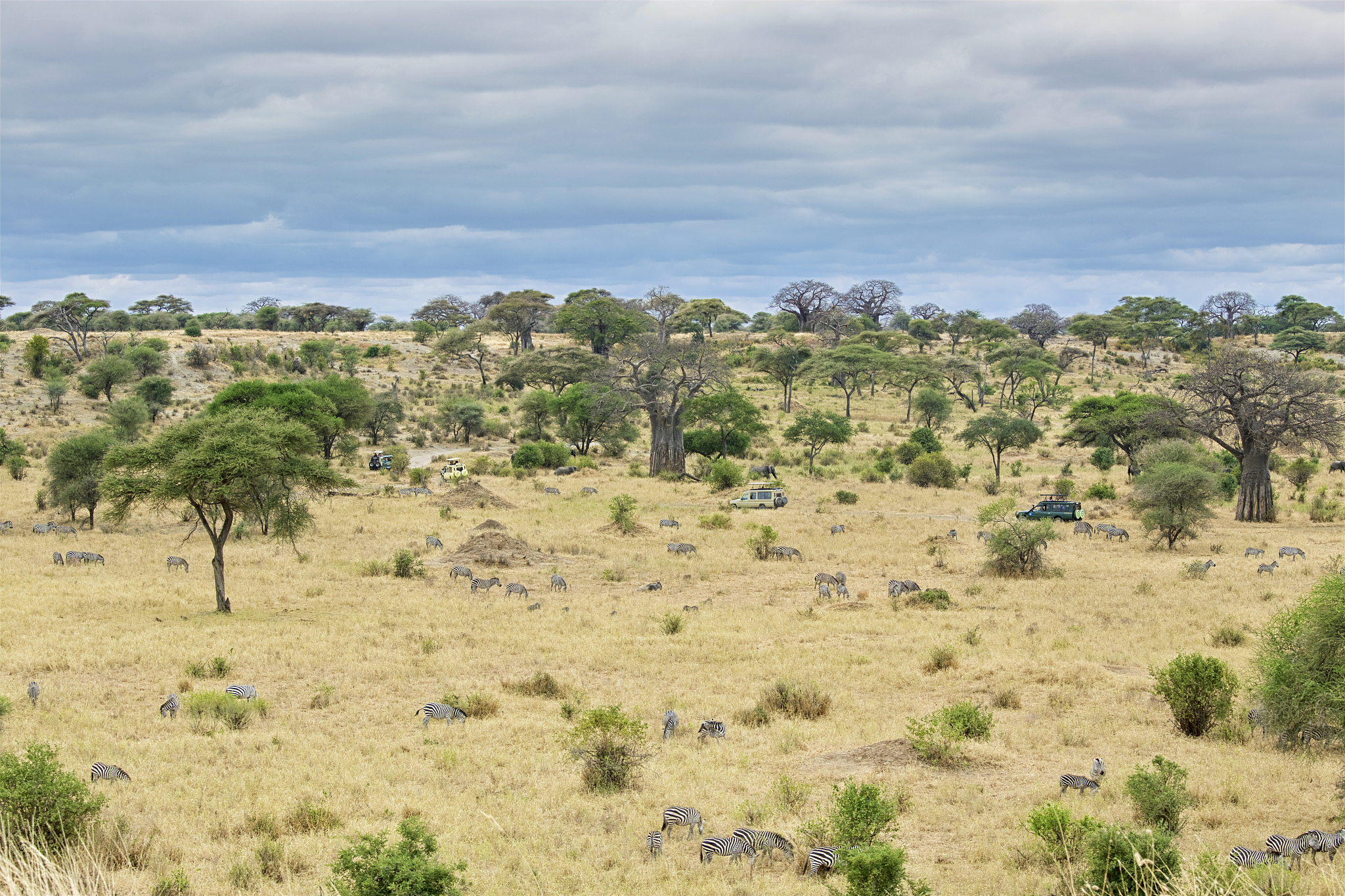 tarangire national park