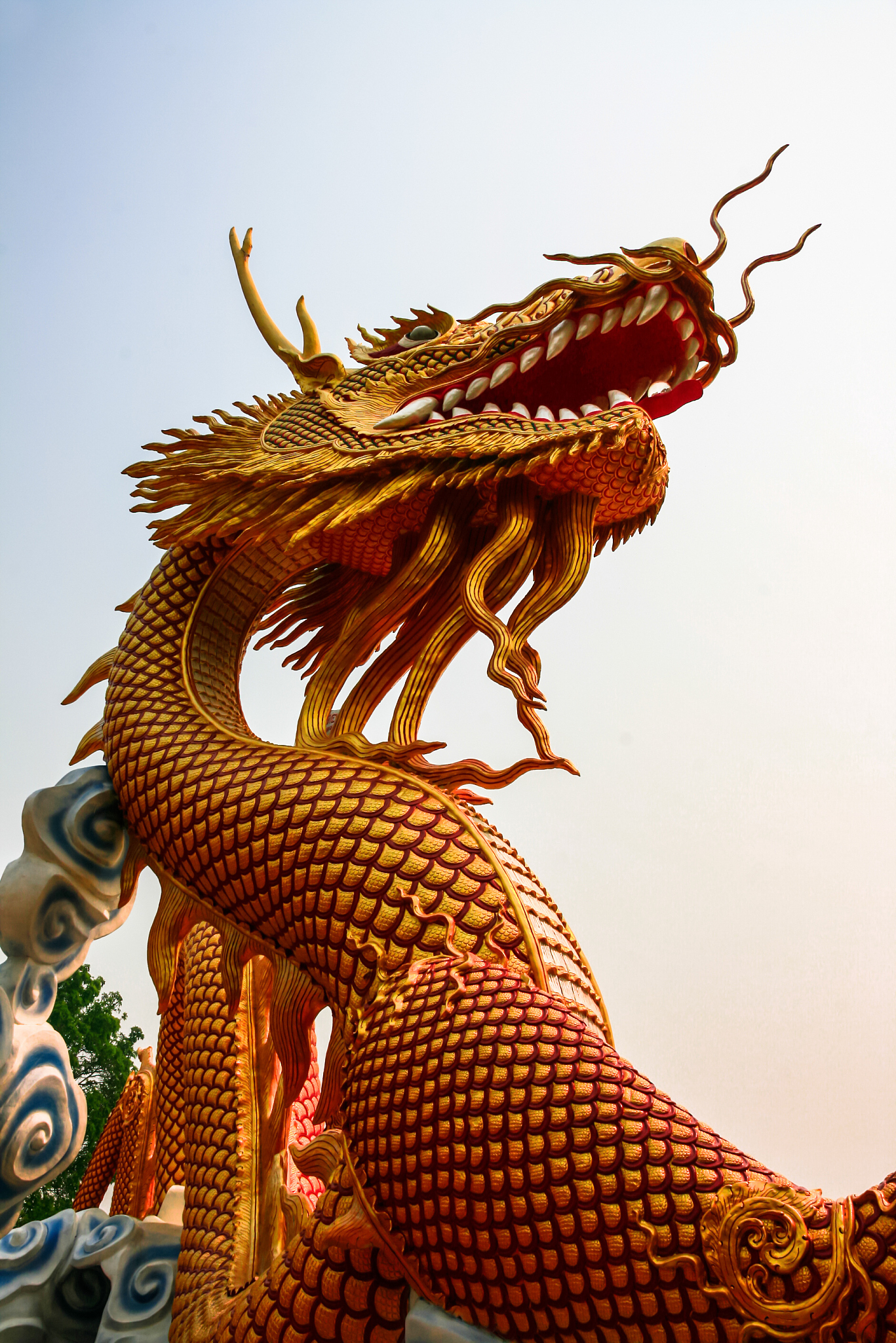 dragon