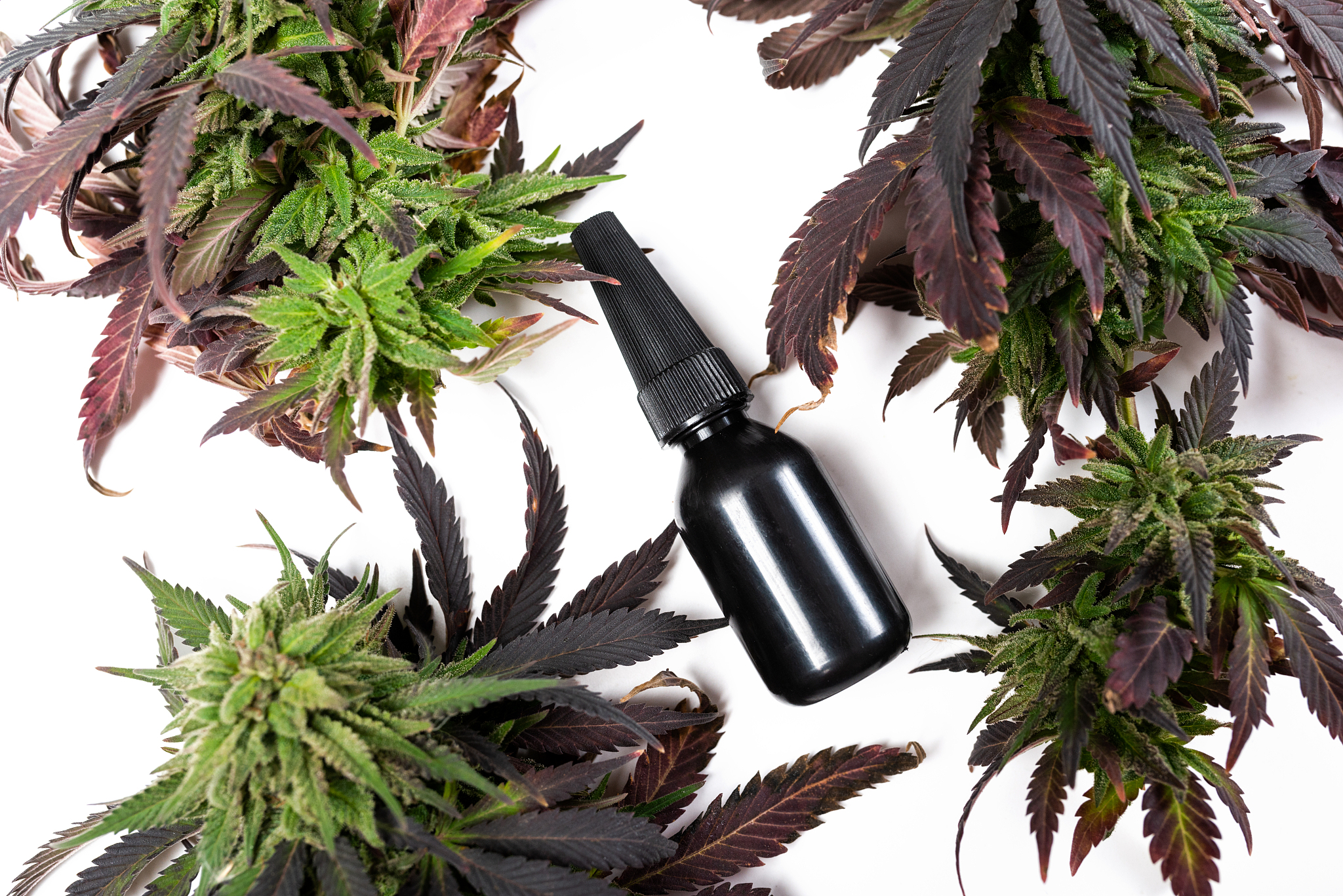 以医务检定员助理的身份写一篇实习日报包含在以医务检定员助理实习过程中遇到的有机化学专业知识包括：实习过程及内容记录典型生产案例记录及分析存在问题、启示。并了解行业全流程的运行管理和成本控制熟悉行业的经营状况。