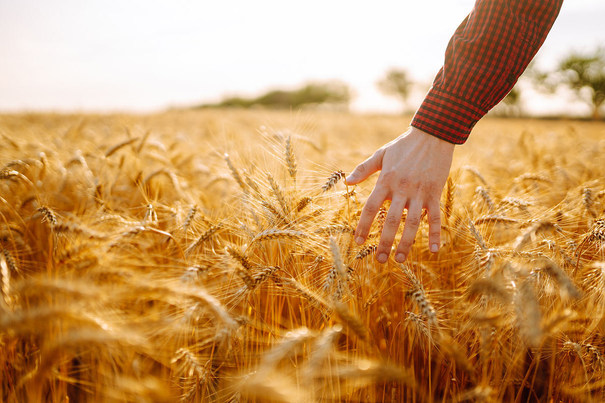 重庆市农业学校农业机械使用与维护专业就业前景分析