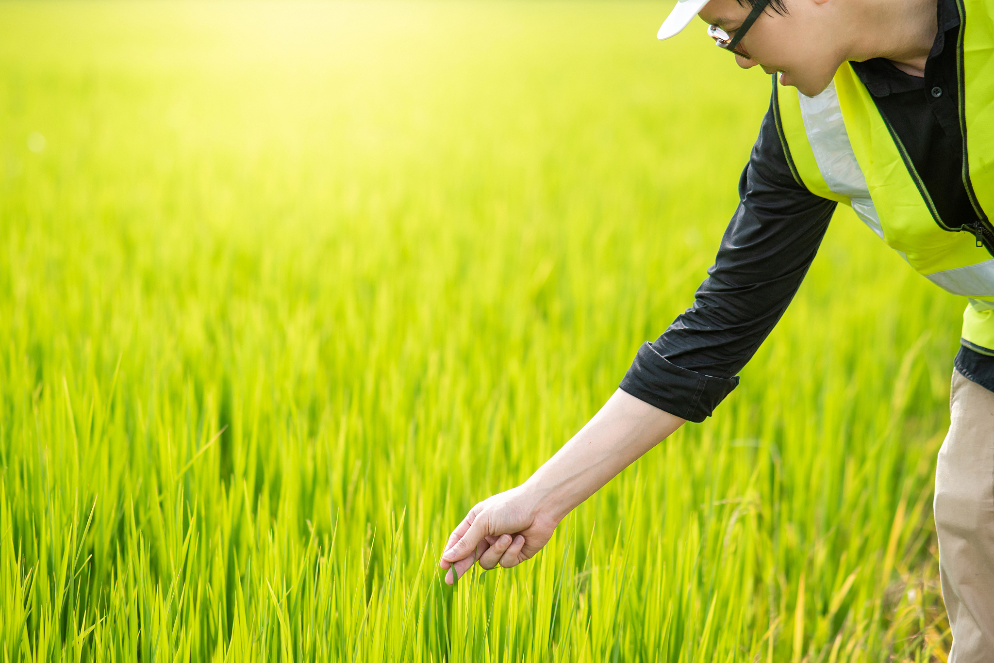 武汉市农业学校哪些专业比较热门