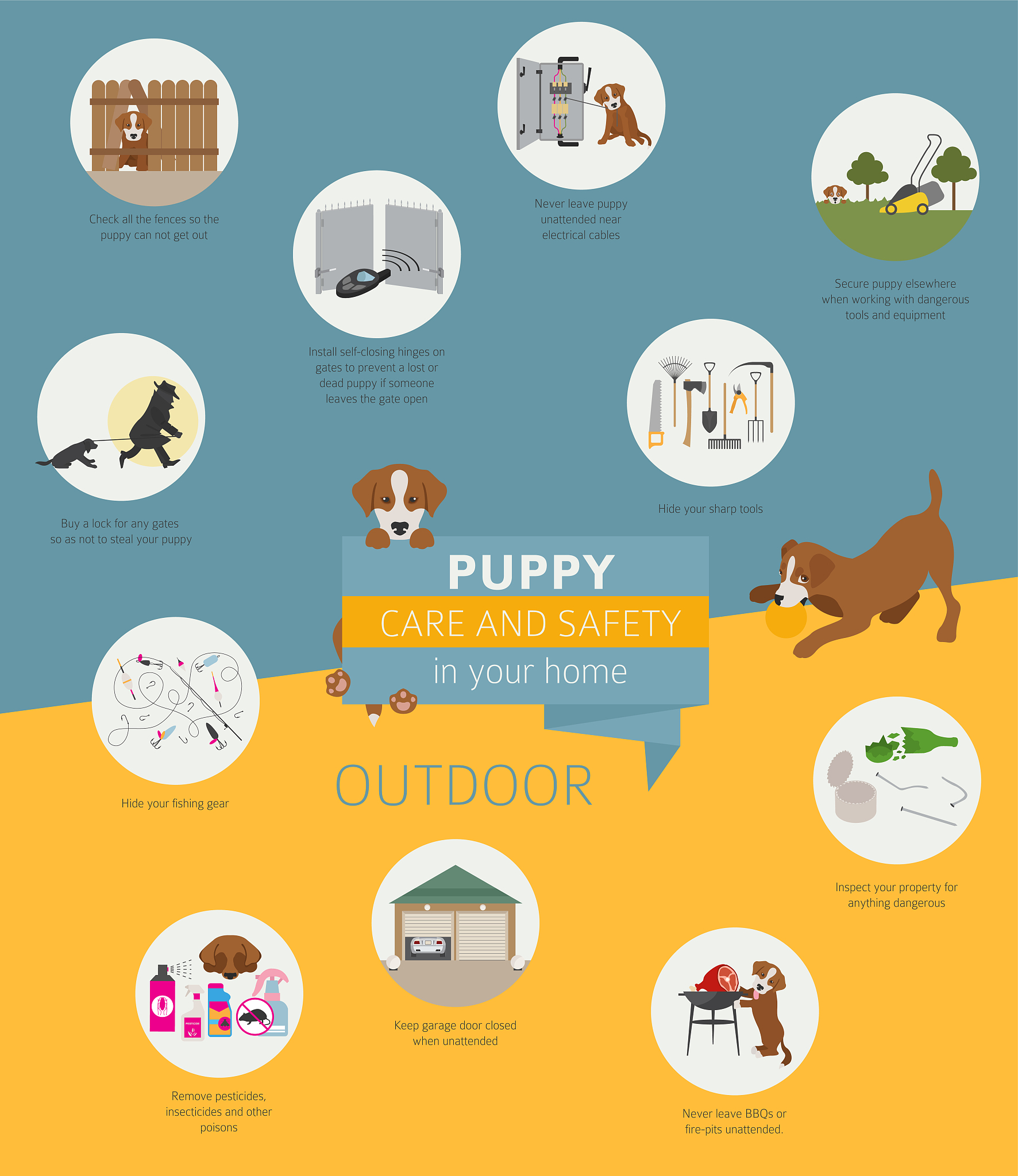 宠物旅行指南：如何确保安全舒适的旅程