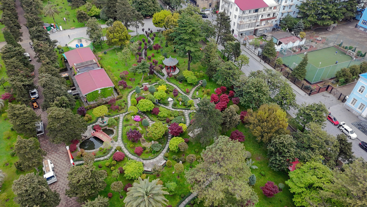 楚雄农业学校园林技术专业：培养城市绿化人才，共建美丽中国