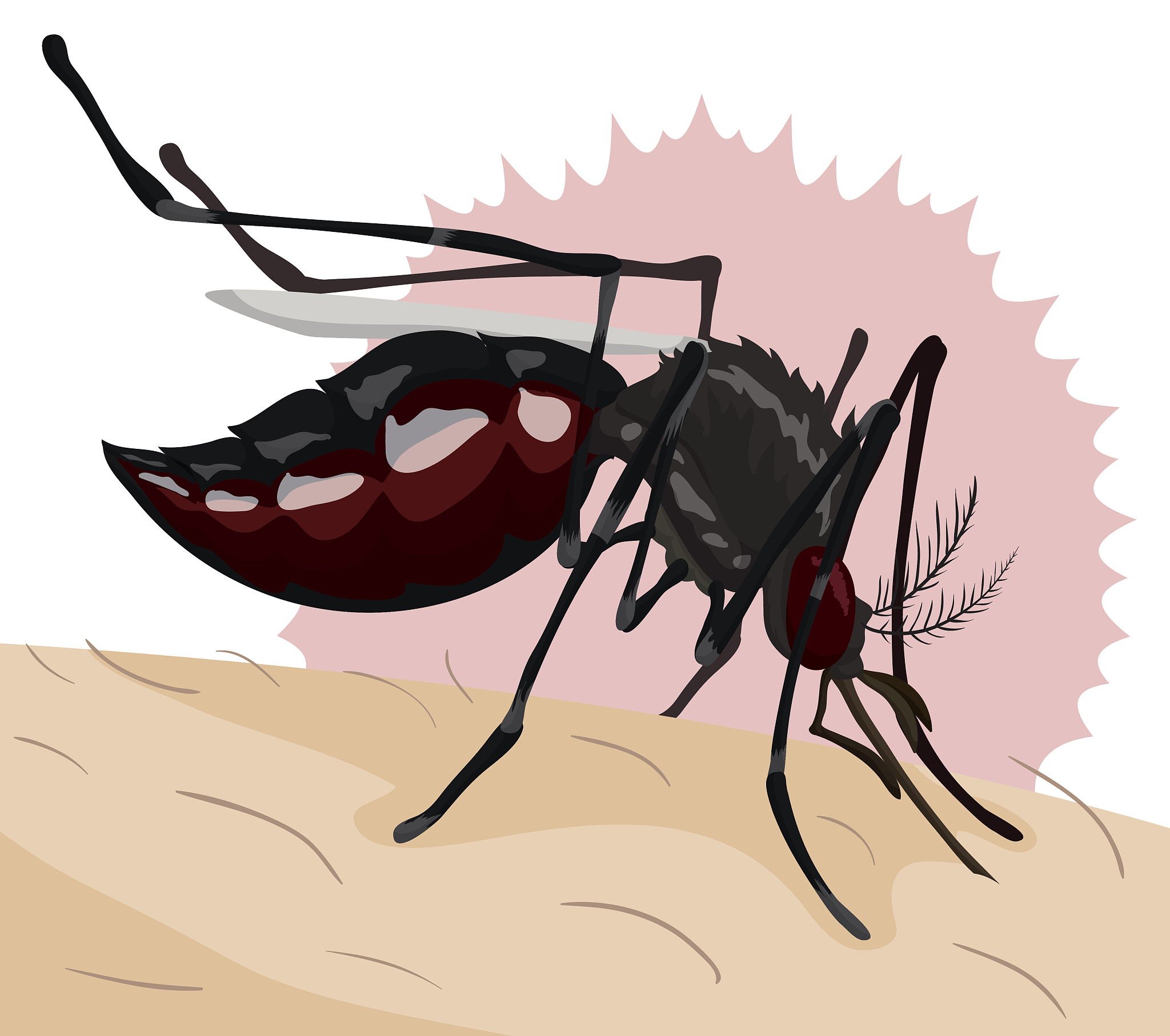 写一个蚊子是怎么吸血的科普文案用营销号的口气要幽默夸张还要能吸人眼球文案要长还要取一个吸引人的标题