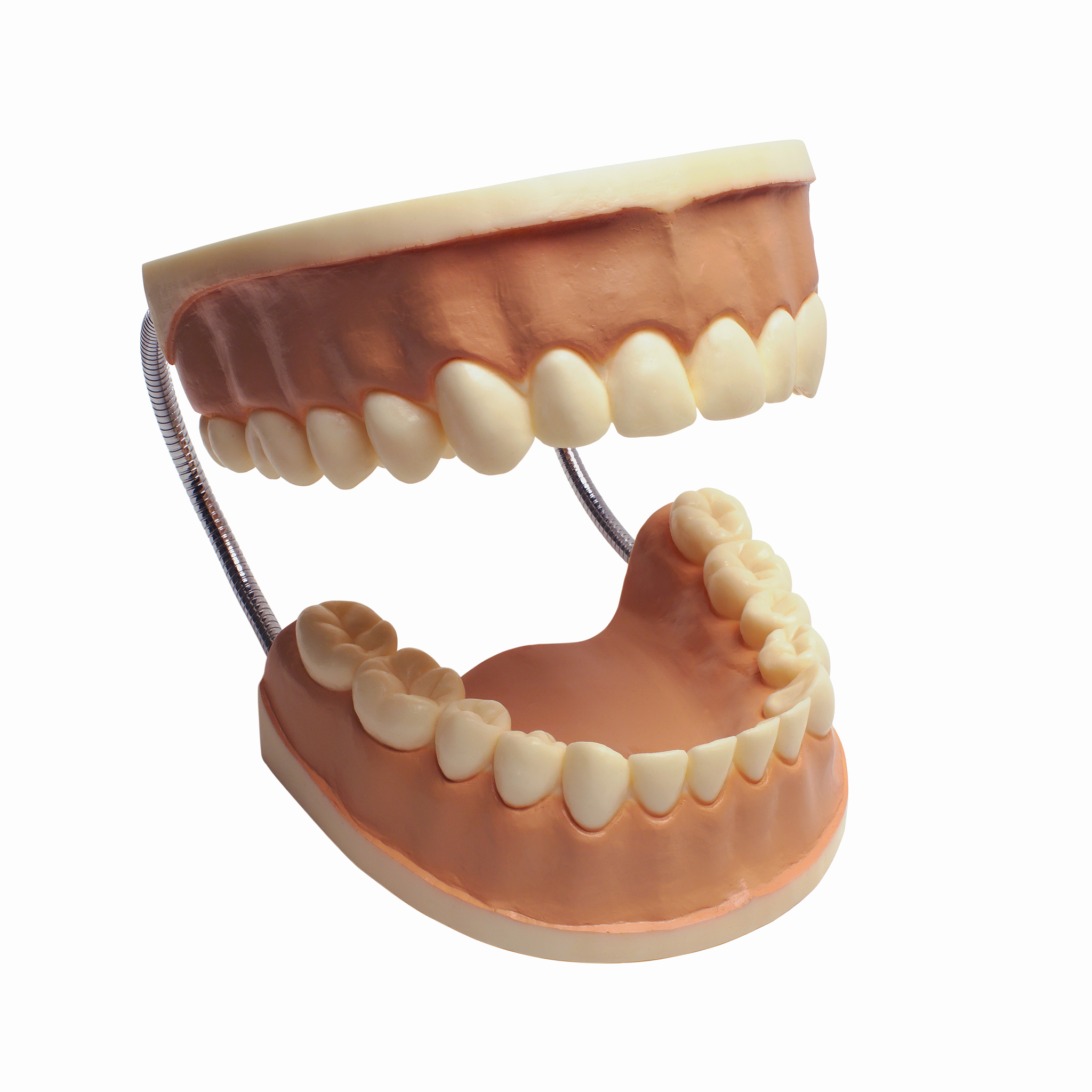 贵州医科大学口腔医学专业就业方向：未来趋势与发展