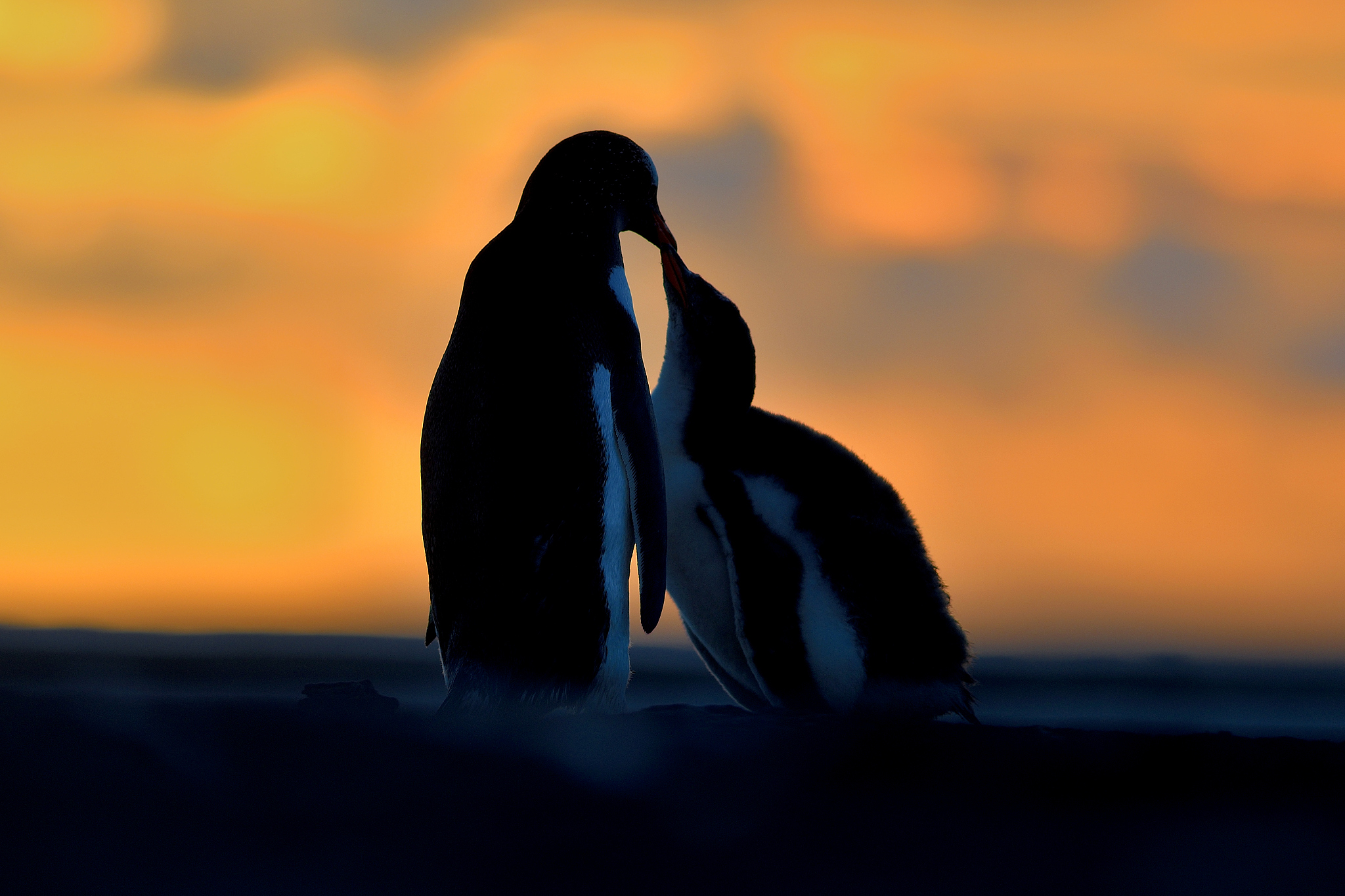 暧昧试探：友谊的界限