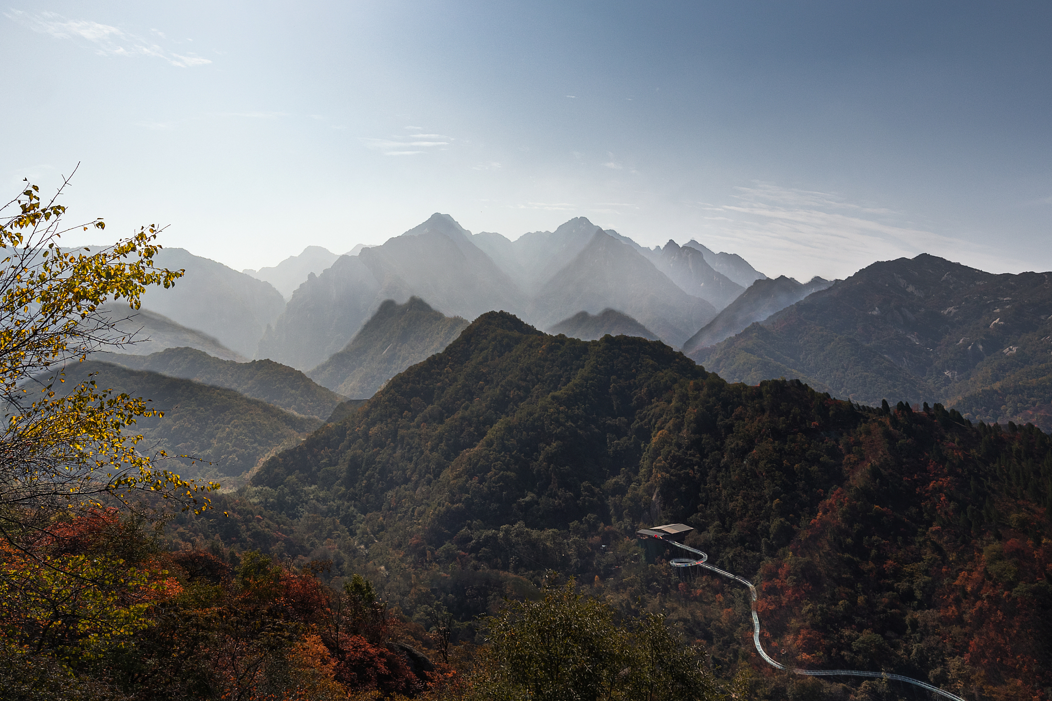 狼人通常是由一个领袖或阿尔法狼人领导的社群他们遵循一定的规则和传统