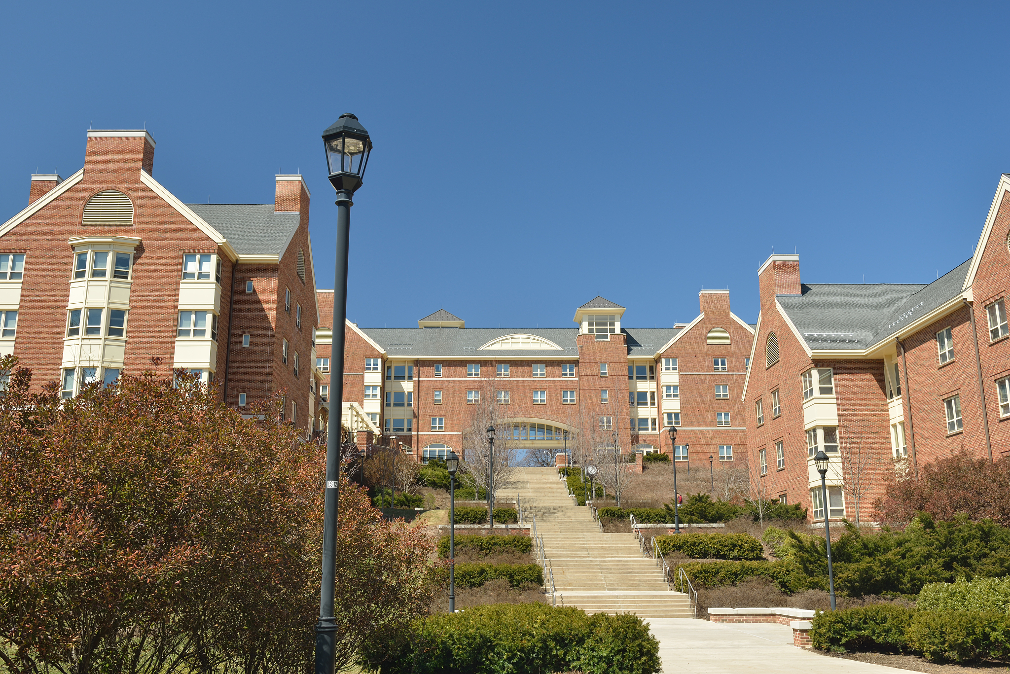 penn state university