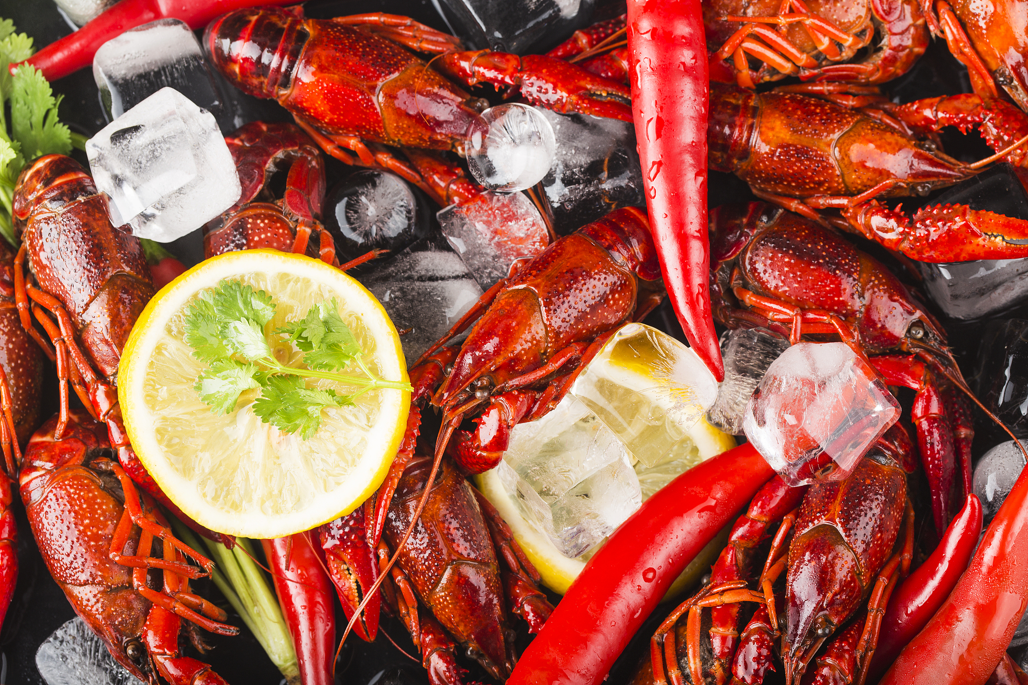 fresh cooked crayfish in ice cubes