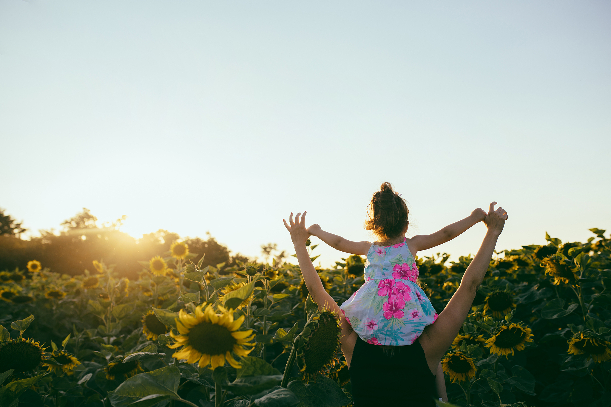 mother and daughter raising arms in sunset on a sunflower planta
