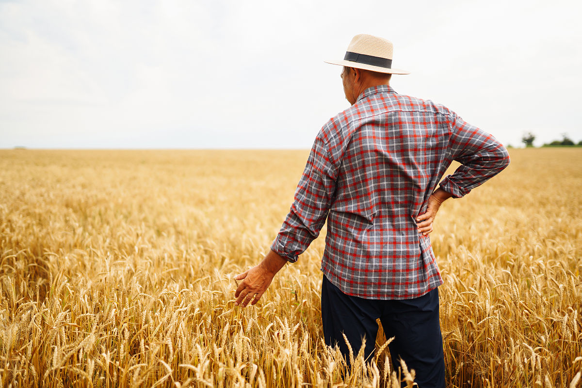 曲靖农业职业学校2019年五年制大专报名攻略