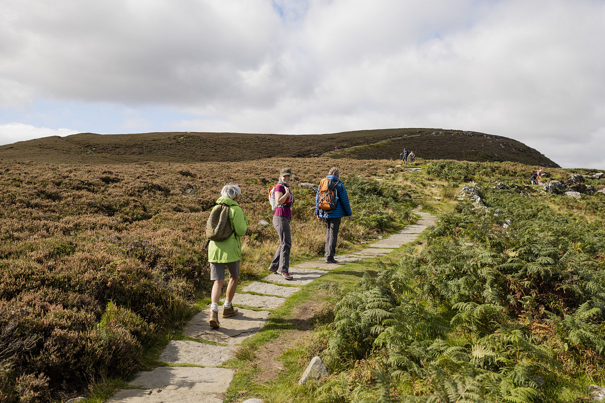 大学生活周记：社团、课程和户外运动