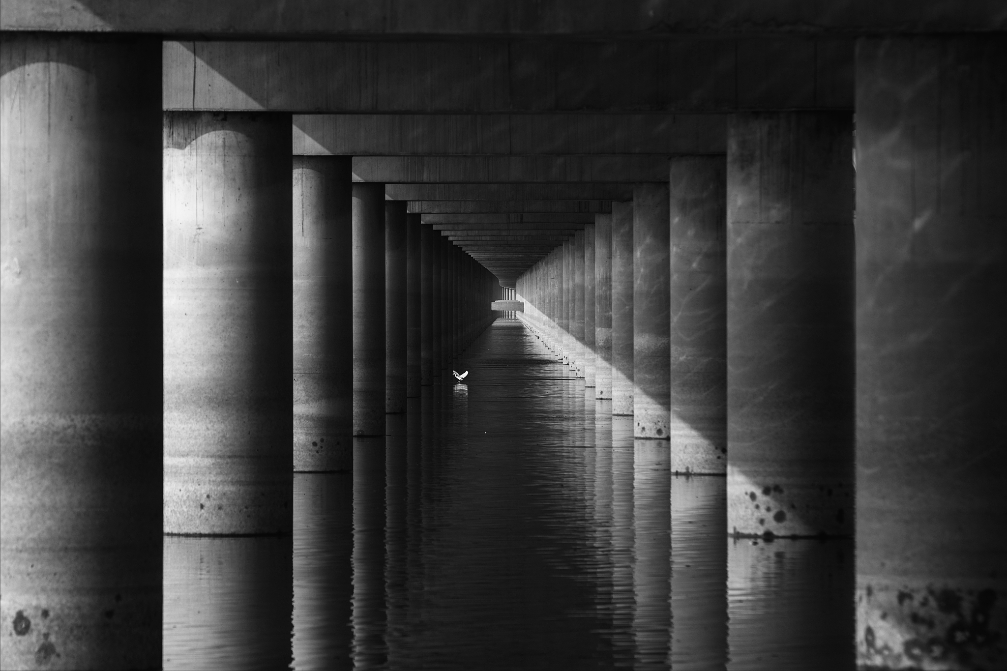 构图元素黄金分割的作用