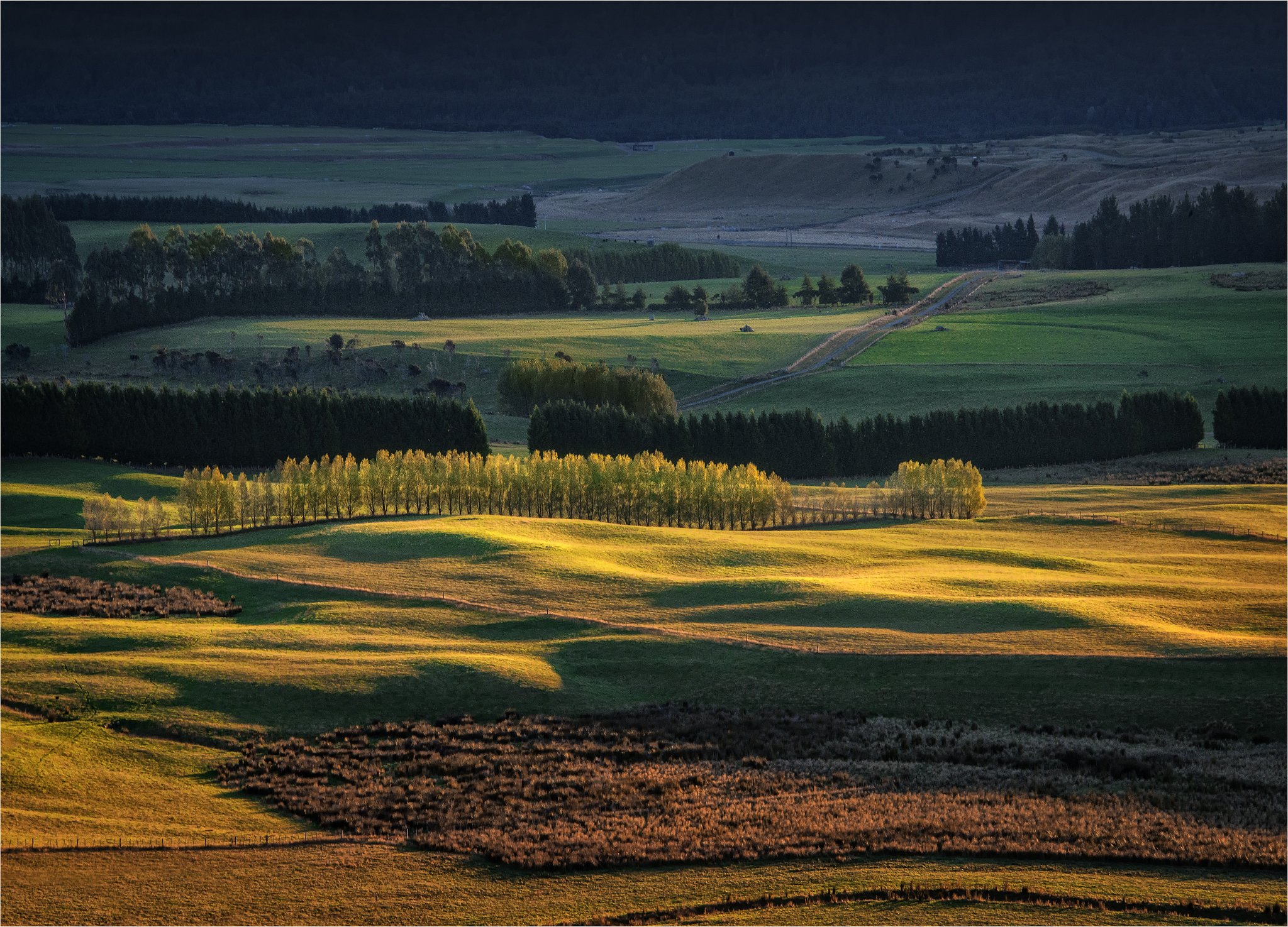 scenic view near te-anau in the late afternoon, with autumn colo