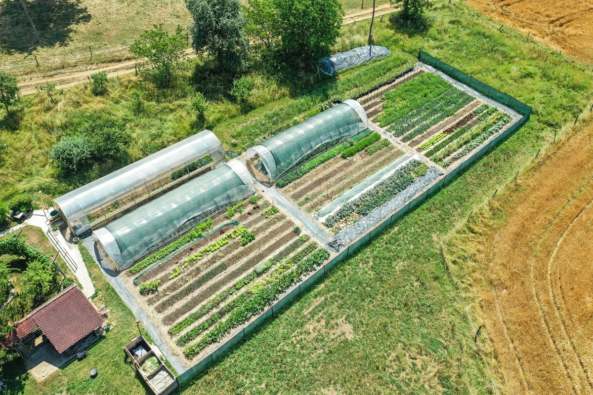 家庭农场生产经营:前景展望与发展方向