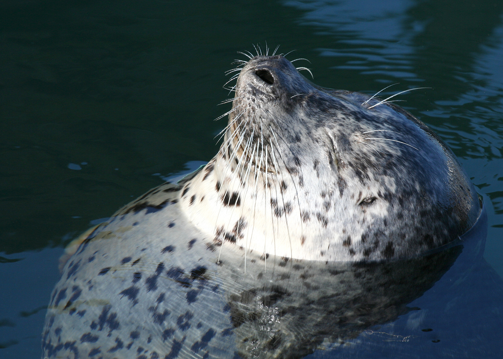 江苏海洋大学2022年招生简章 - 报考指南及录取政策