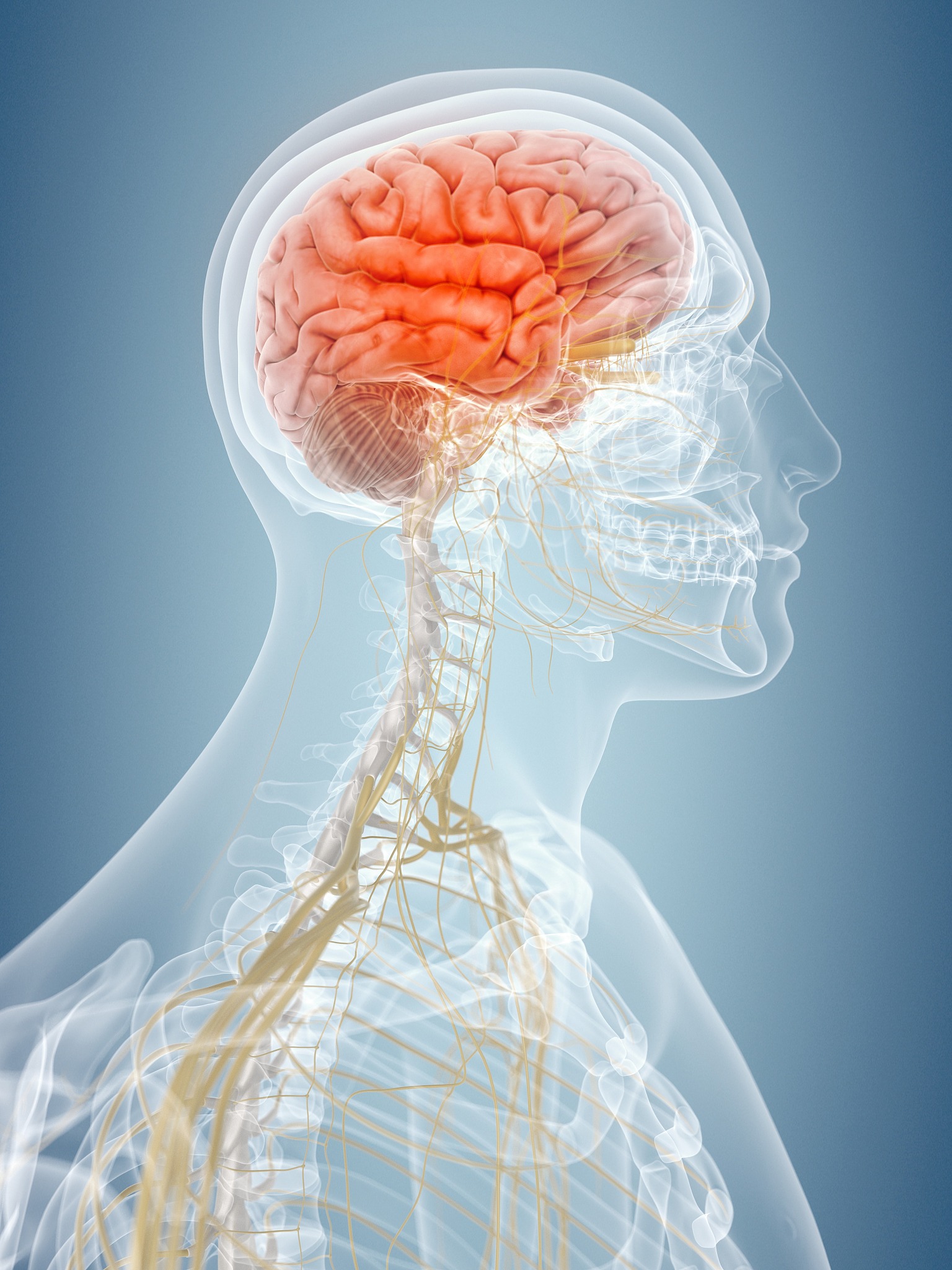 一篇关于大脑的科普文章以公众号的形式写包含大脑的代谢头晕病症的梳理