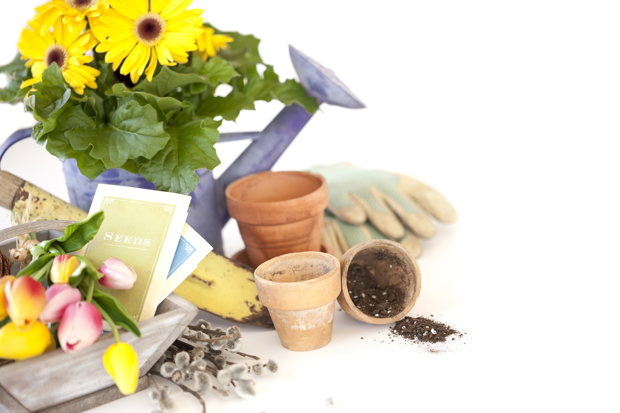 兰州园艺学校招生简章：学习园艺知识，开启你的绿意人生