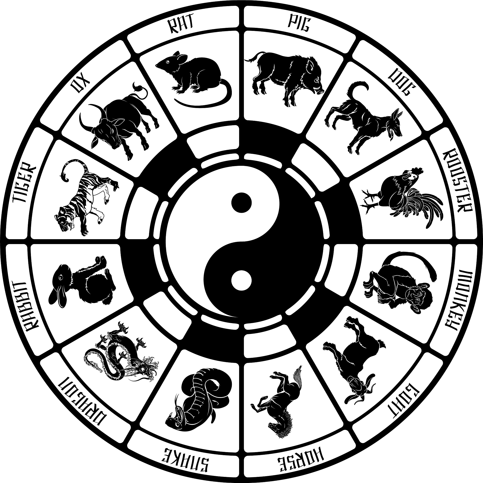 看五行需要提供什么