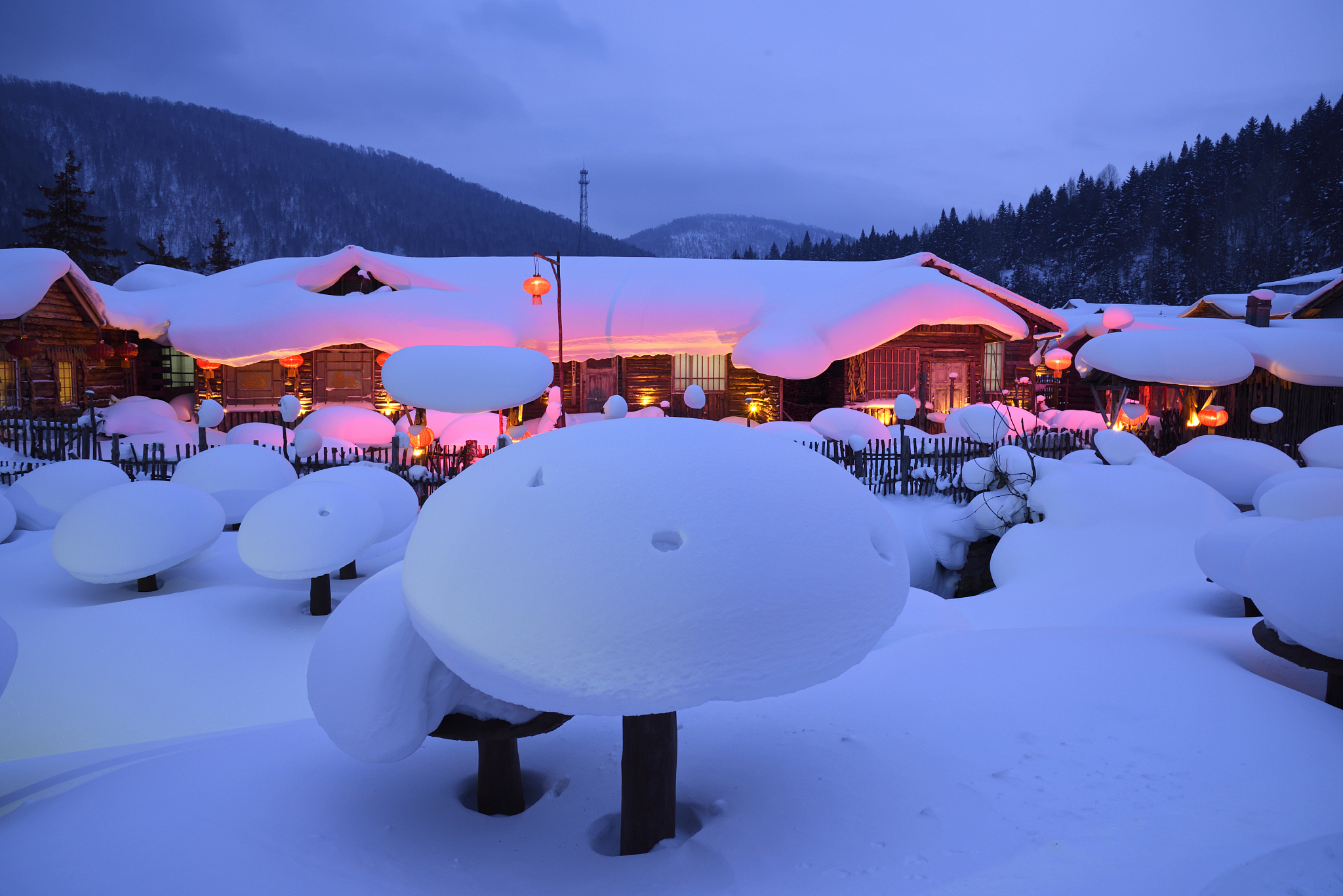 黑龙江林业职业技术学院林业技术专业就业前景分析