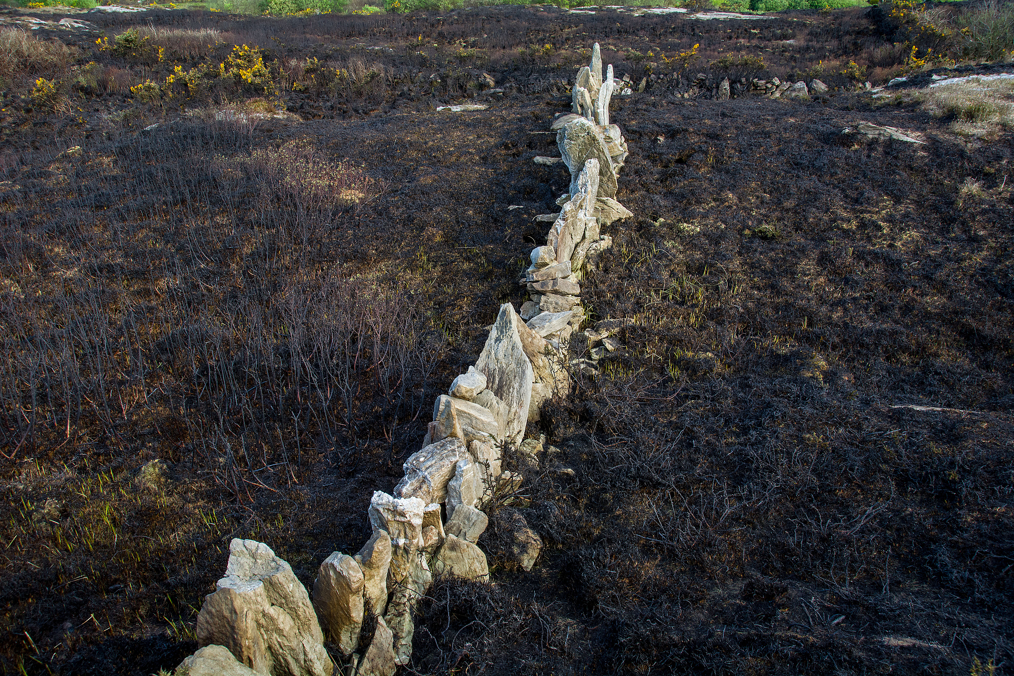 aftermath of gorse fire, ireland