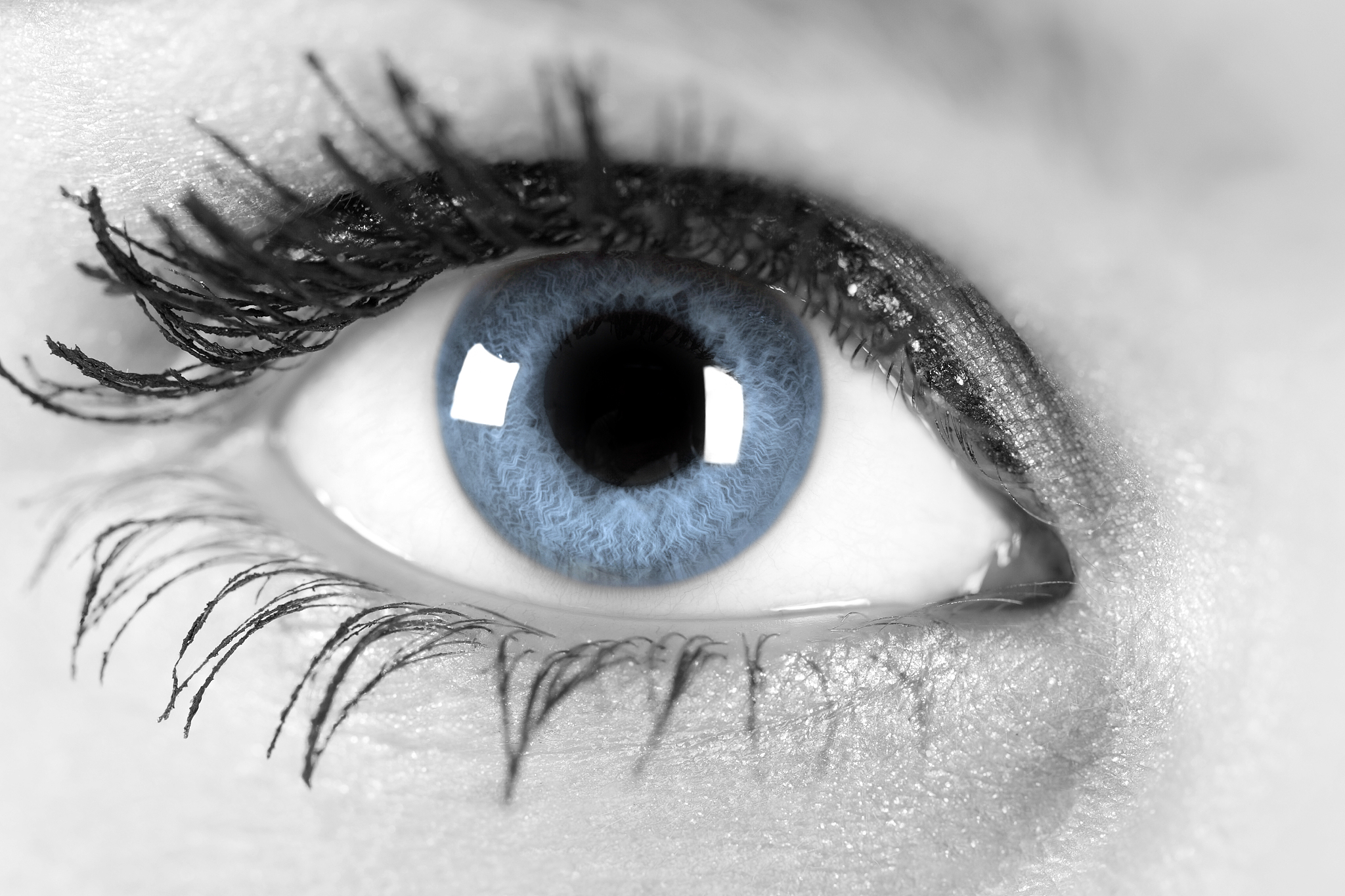 beautiful female blue eye