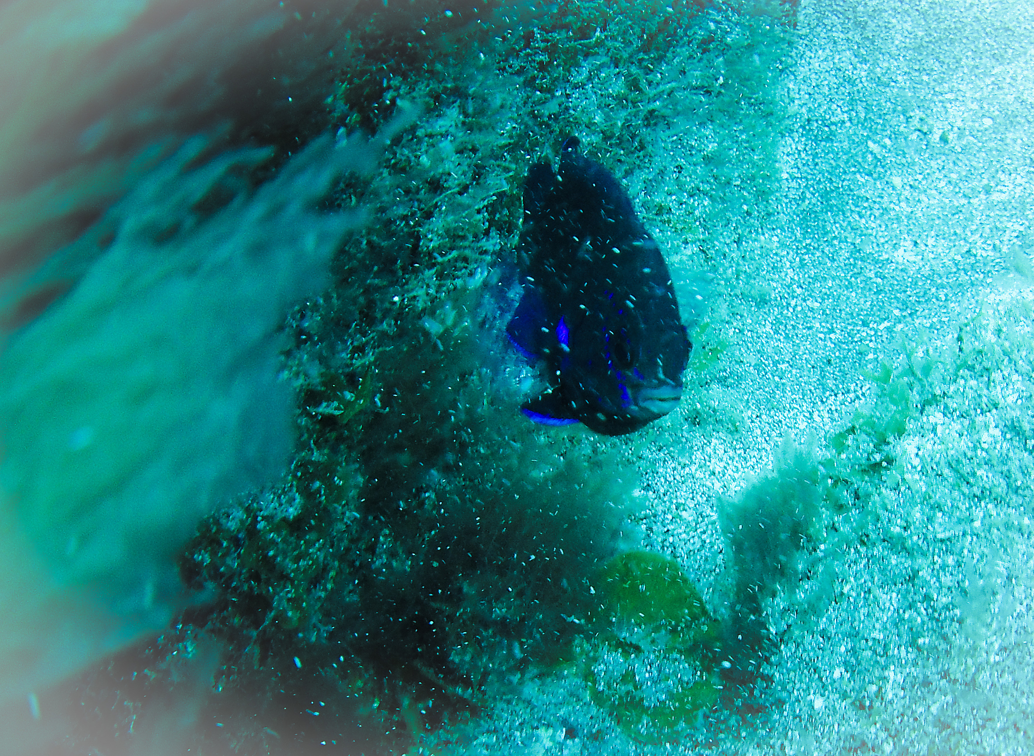 Towfish 水下航行深度：应用、距离和因素