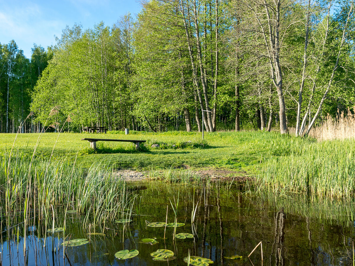 哈尔滨金河湾湿地维管束植物数量调查