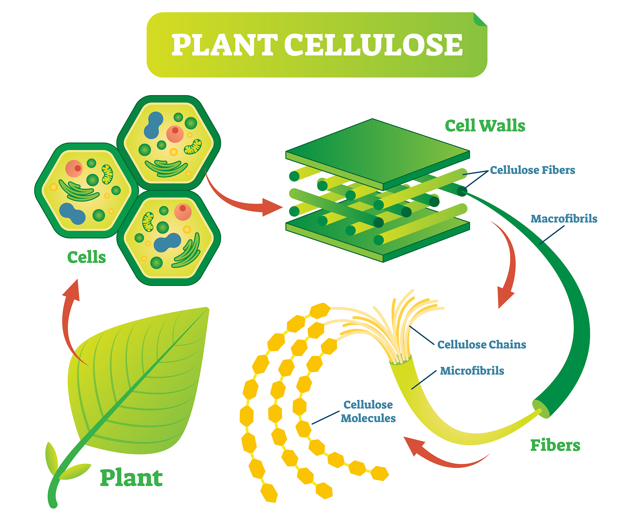 生物吸附剂性能要求：高效去除废水污染物