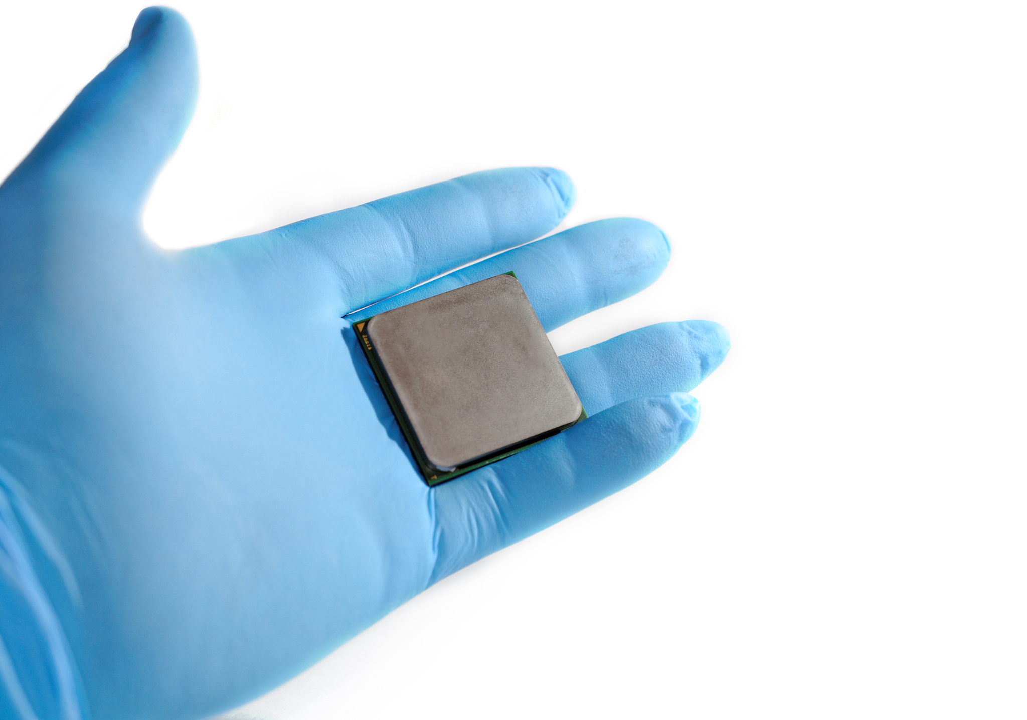 a man in blue gloves carefully holds the cpu microprocessor.