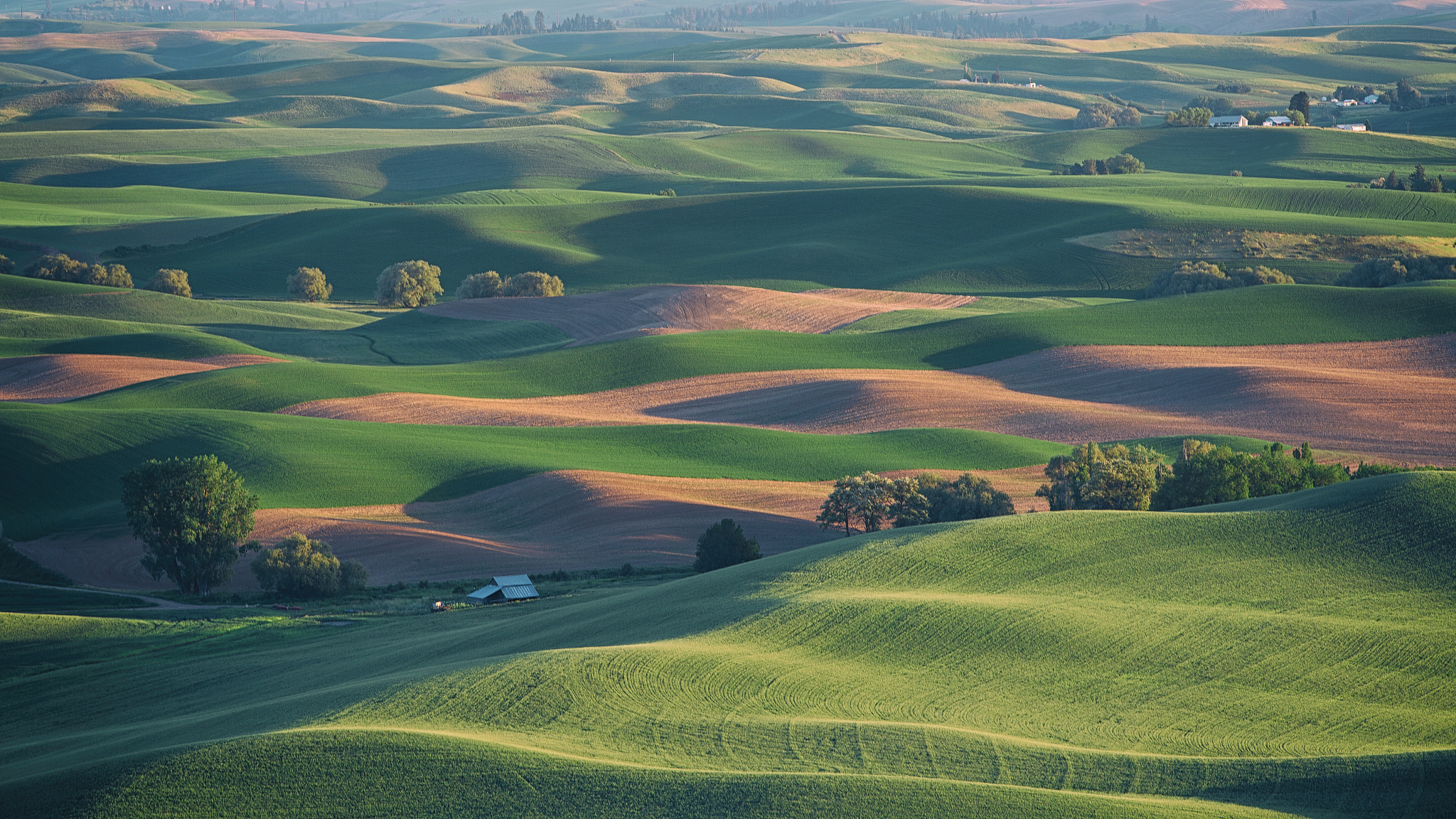 palouse rolling hills